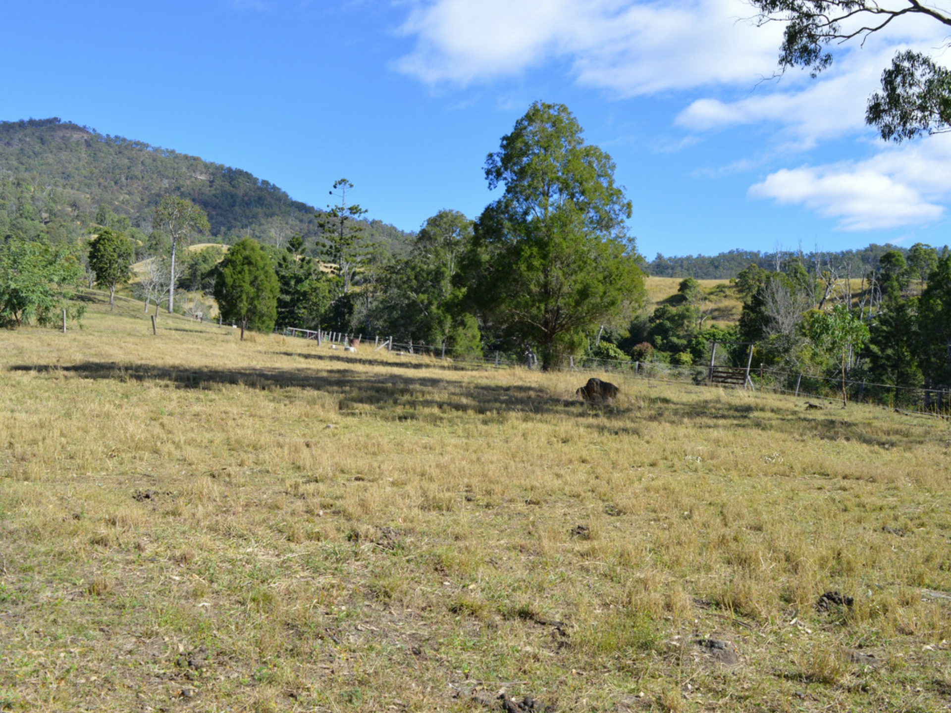 498 Sarabah Road, CANUNGRA