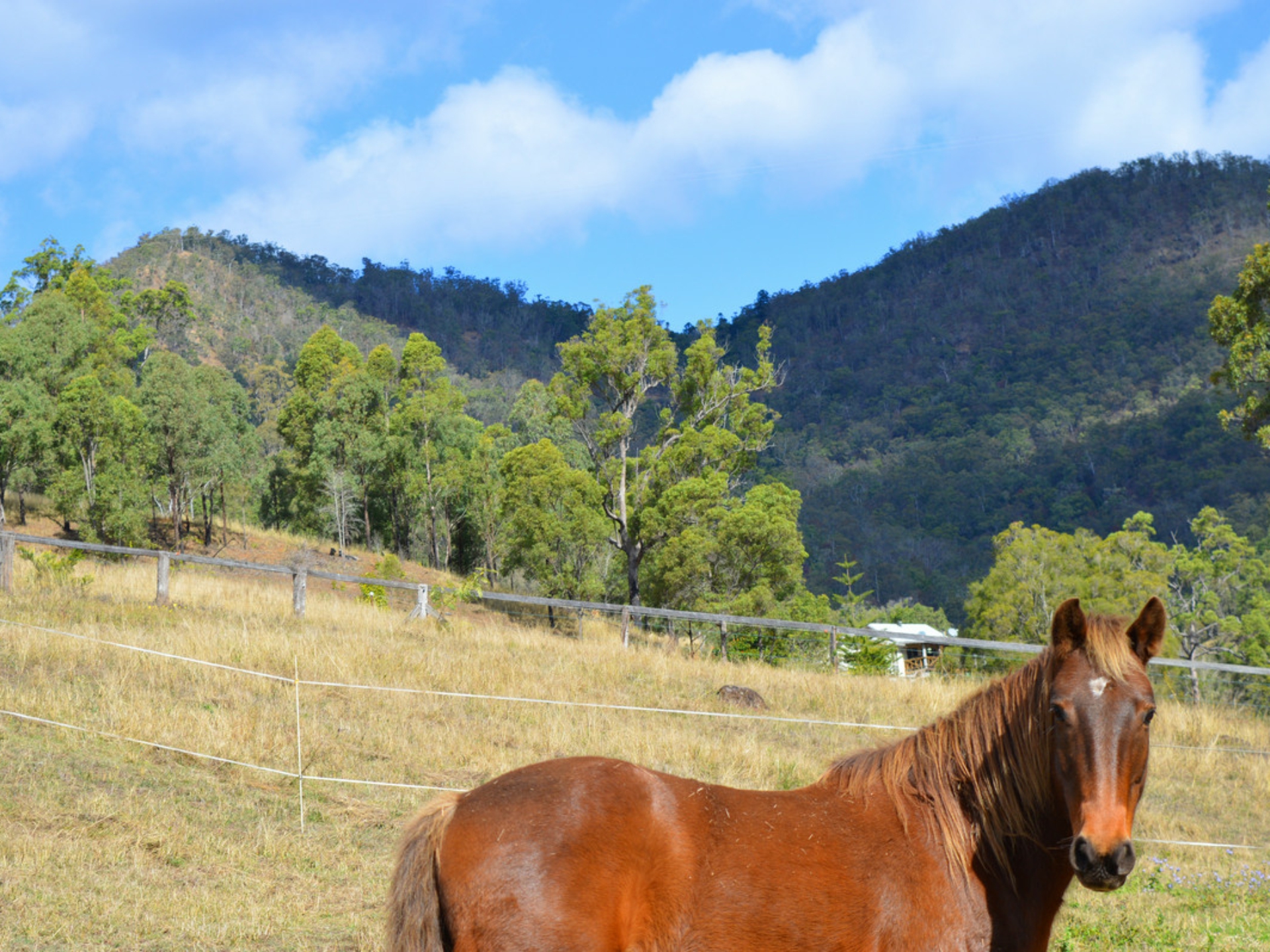 498 Sarabah Road, CANUNGRA