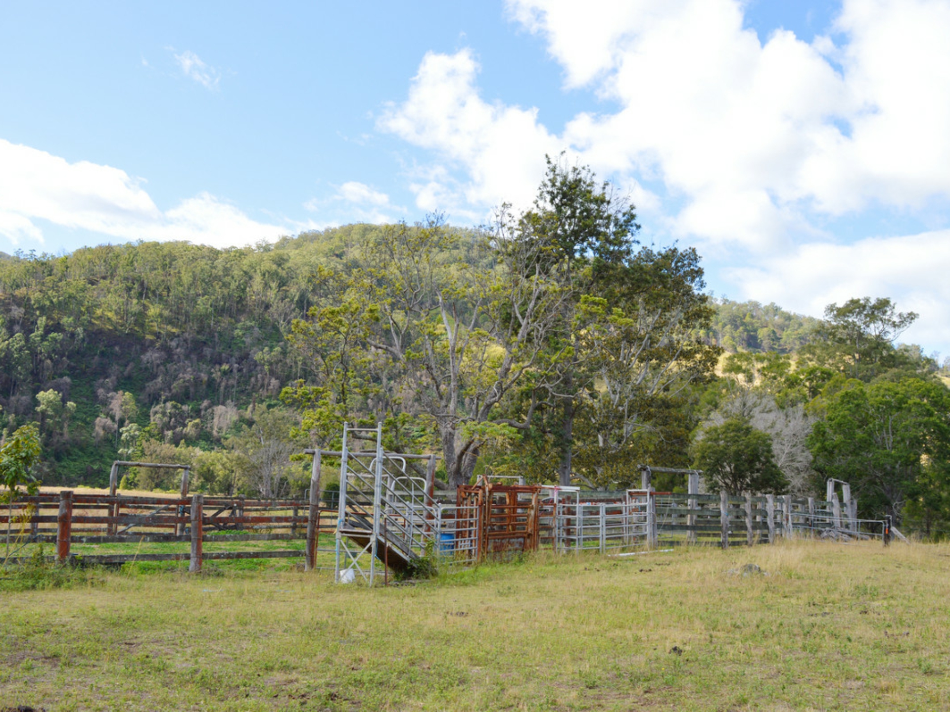 498 Sarabah Road, CANUNGRA