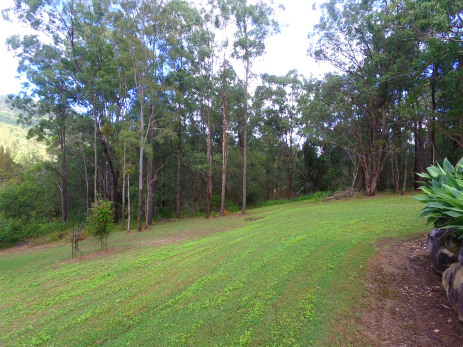 49-51 Thornbird Court, CANUNGRA