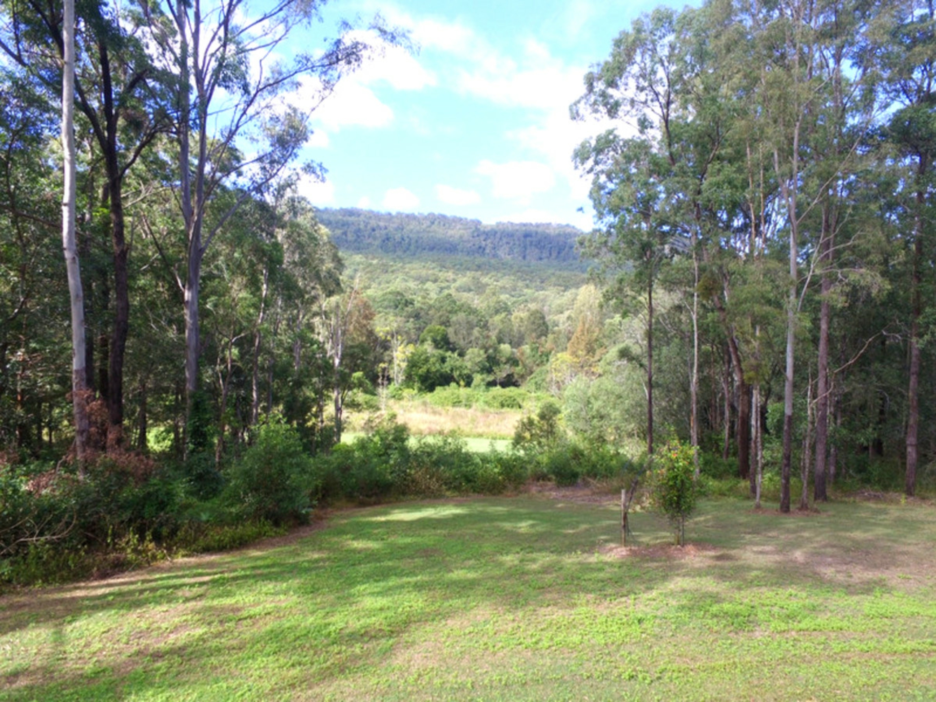 49-51 Thornbird Court, CANUNGRA