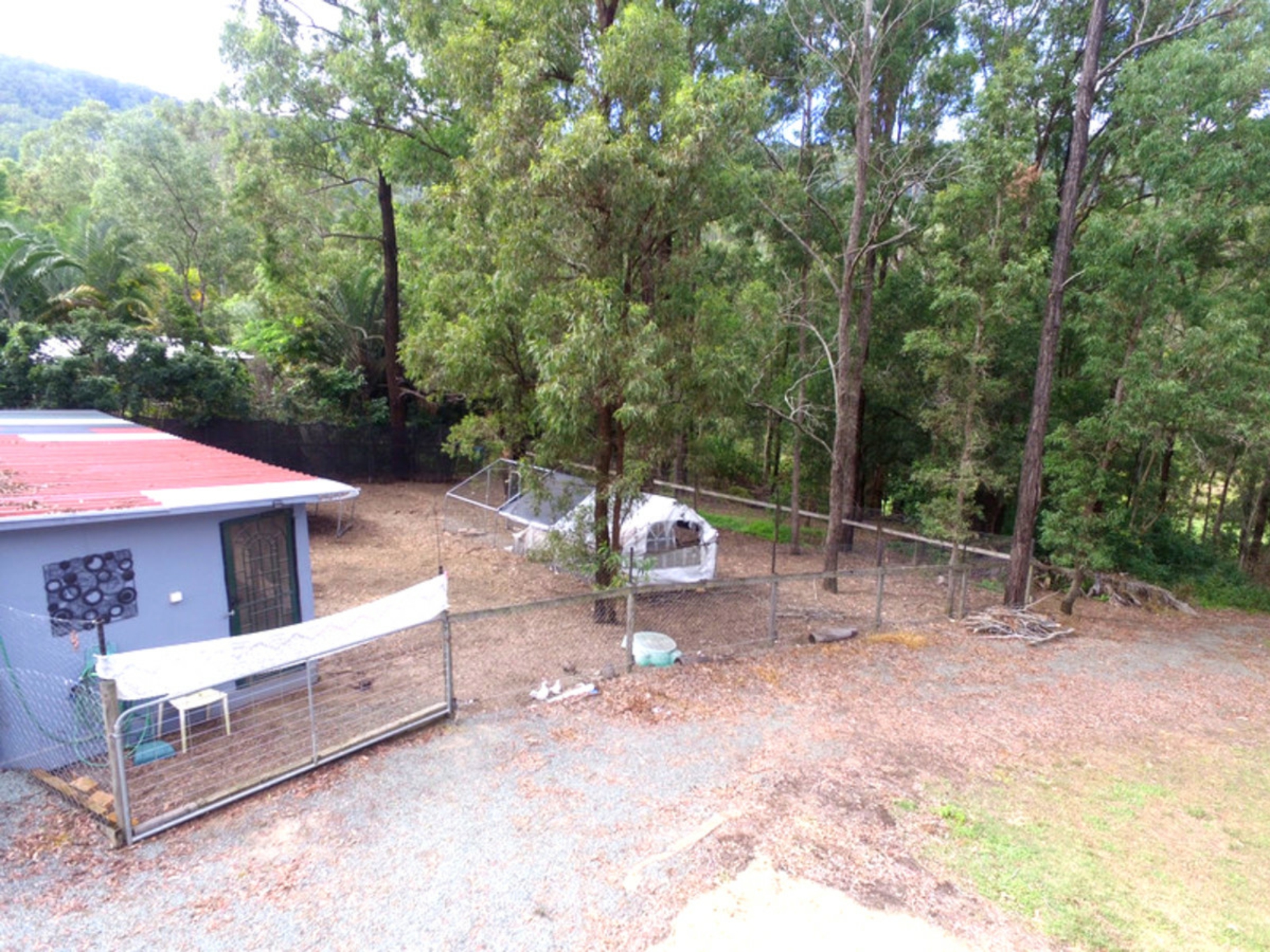 49-51 Thornbird Court, CANUNGRA