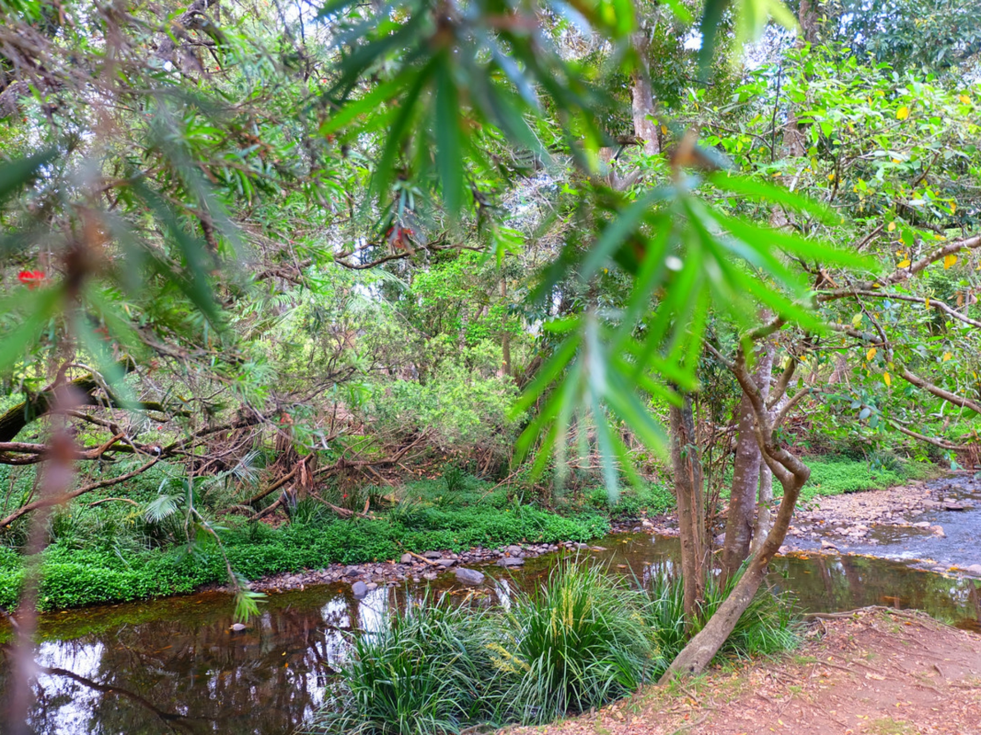 26 Mackellar Drive, NERANG
