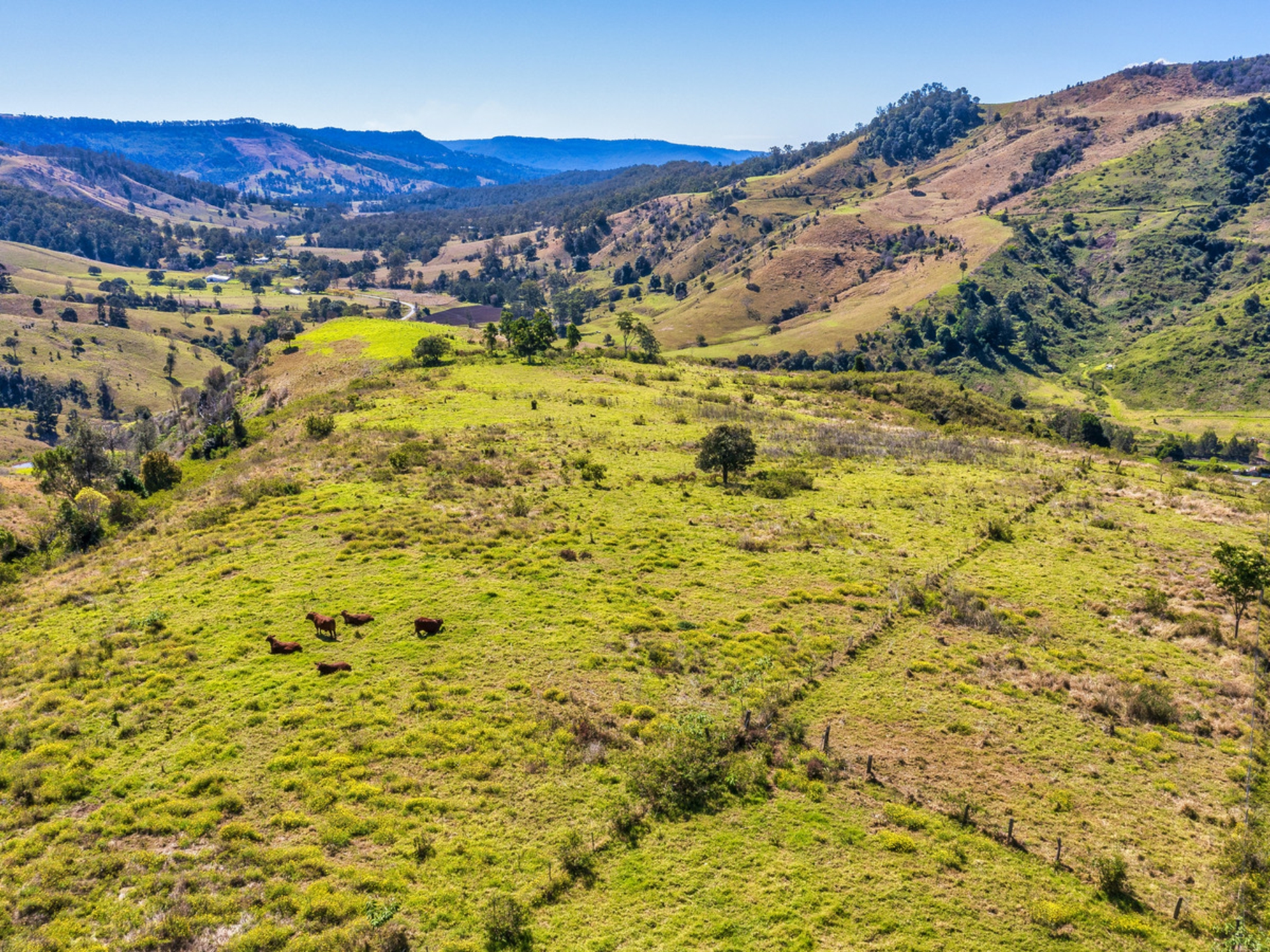 462 Illinbah Road, ILLINBAH