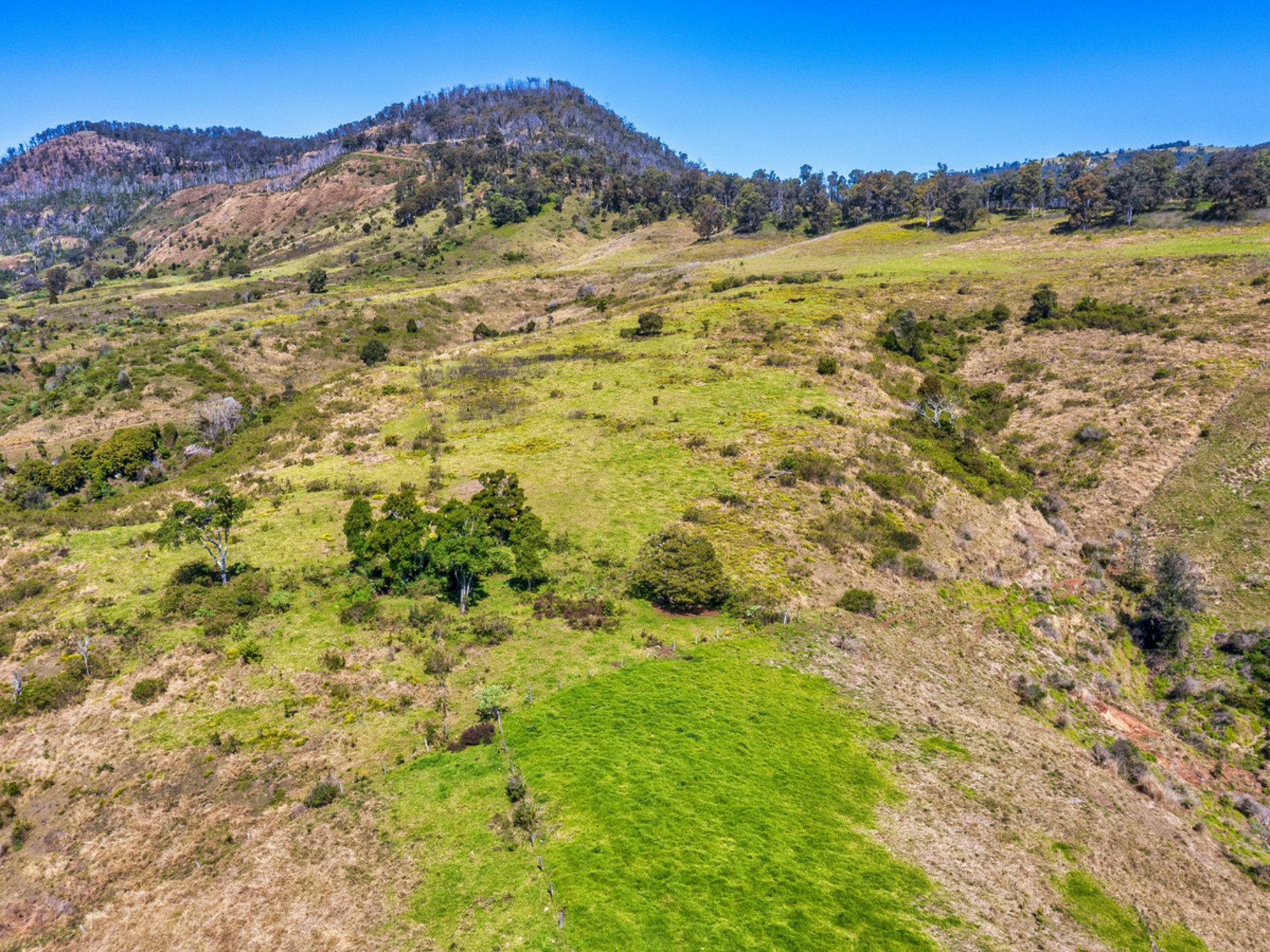 462 Illinbah Road, ILLINBAH