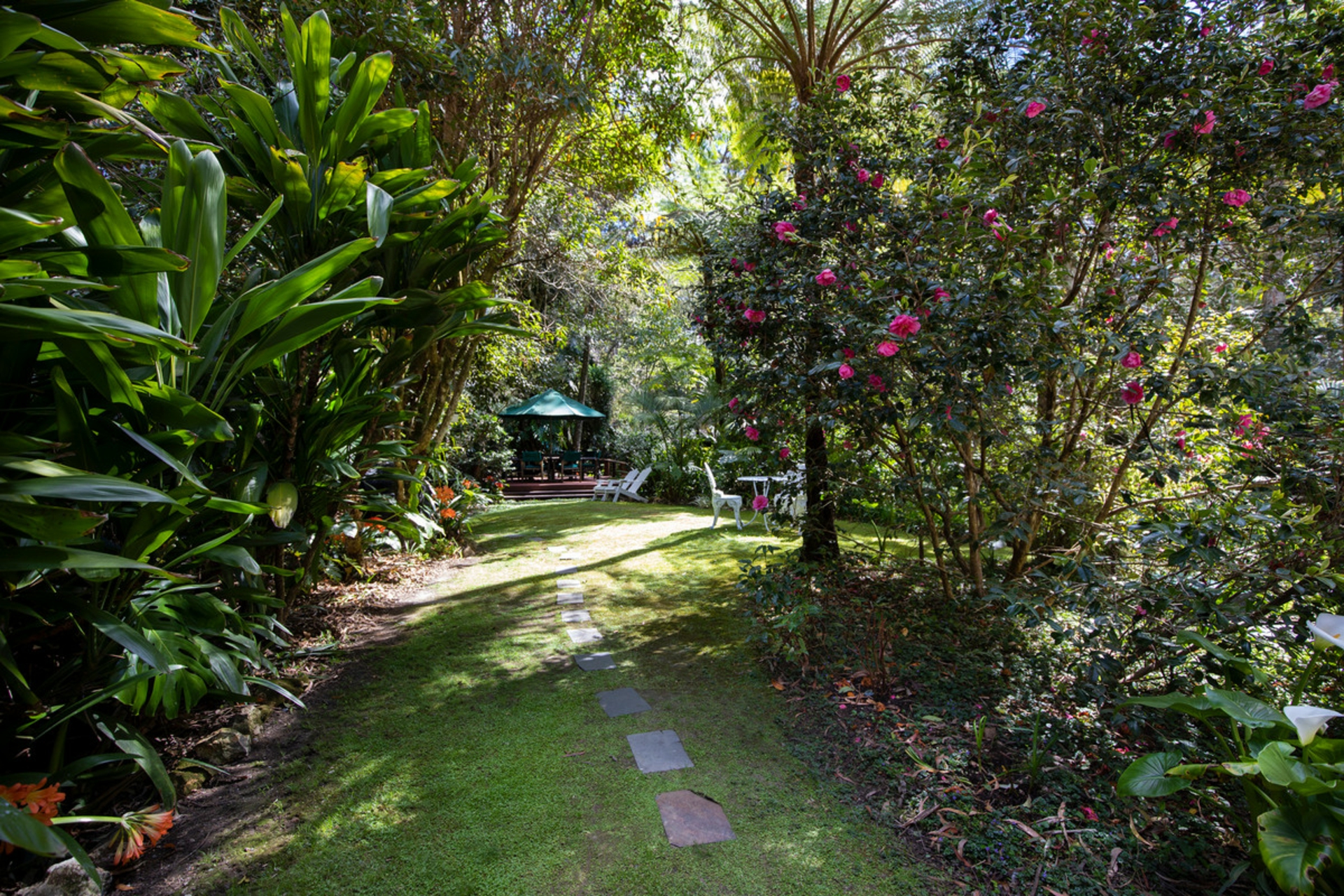8 Canyon Parade, SPRINGBROOK