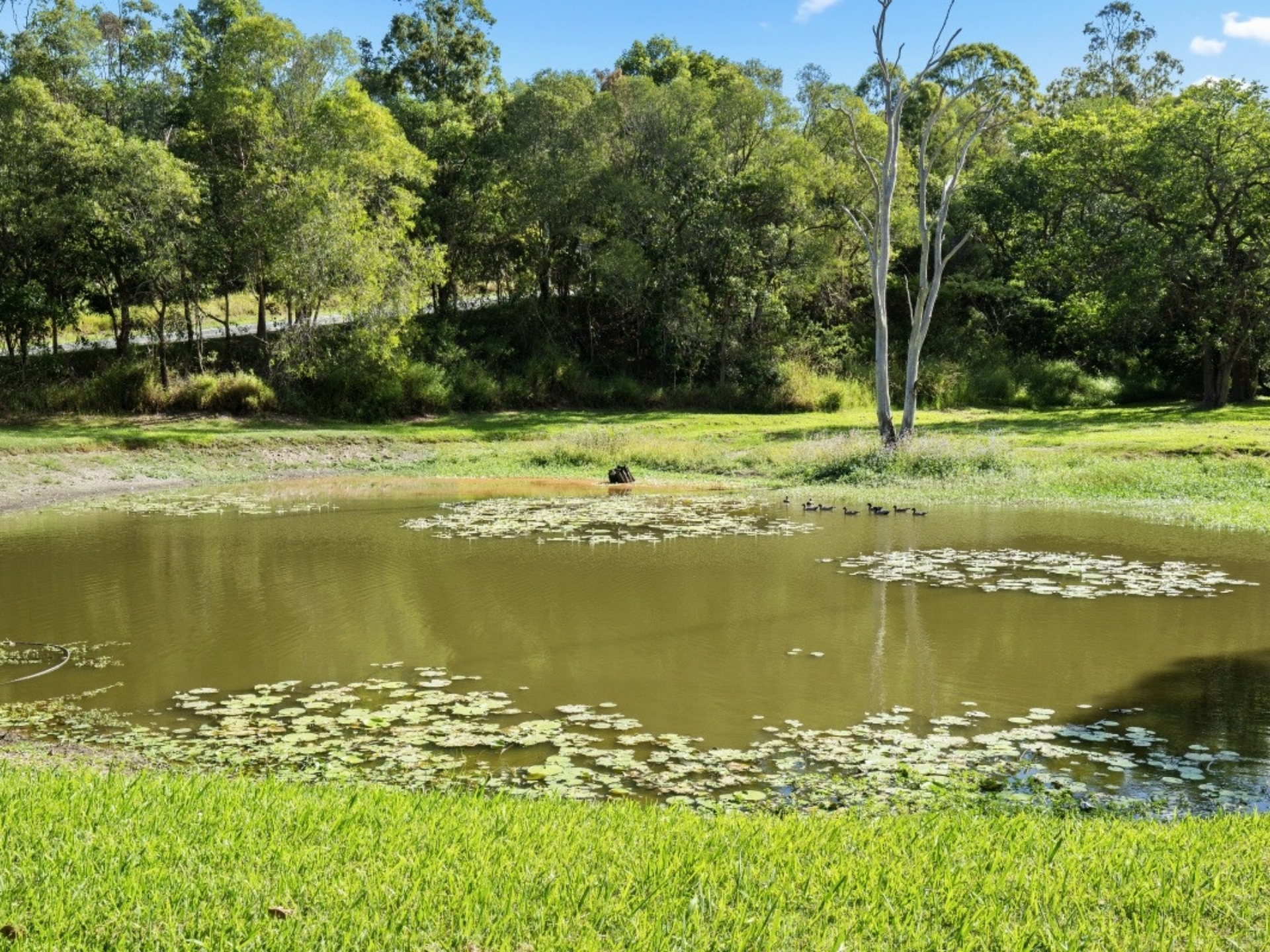 446 Worongary Road, WORONGARY