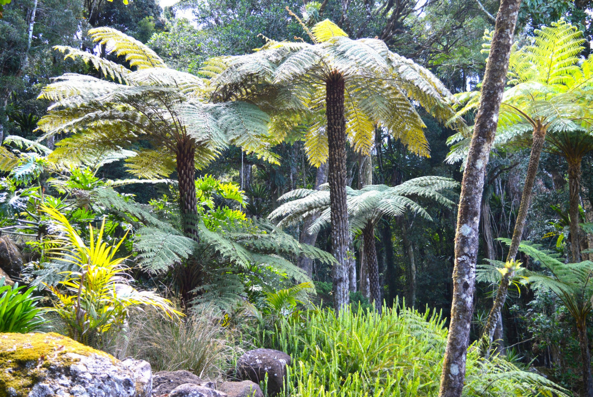 76 Repeater Station Road, SPRINGBROOK