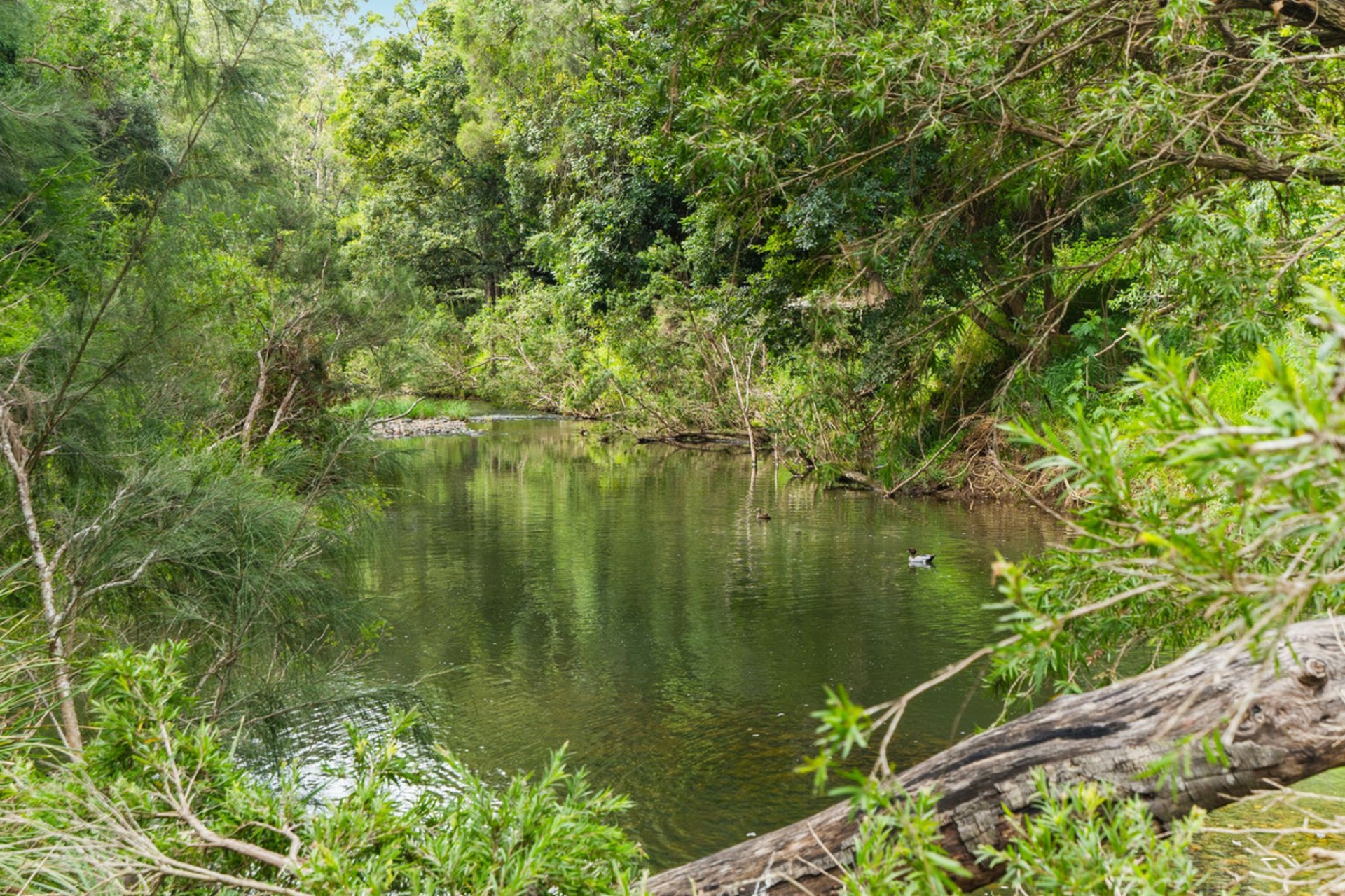 309 Upper Coomera Road, FERNY GLEN