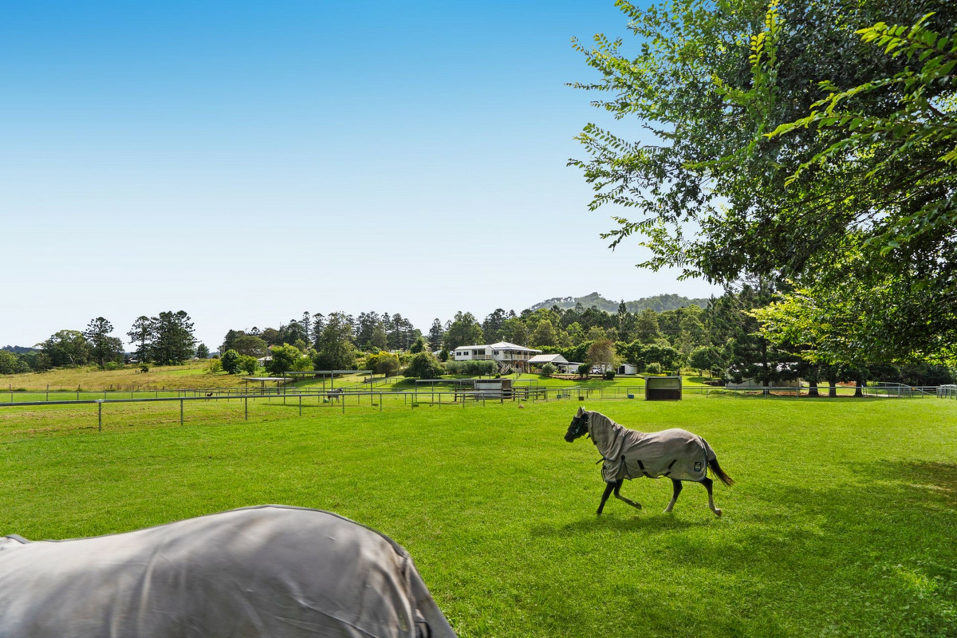 309 Upper Coomera Road, FERNY GLEN