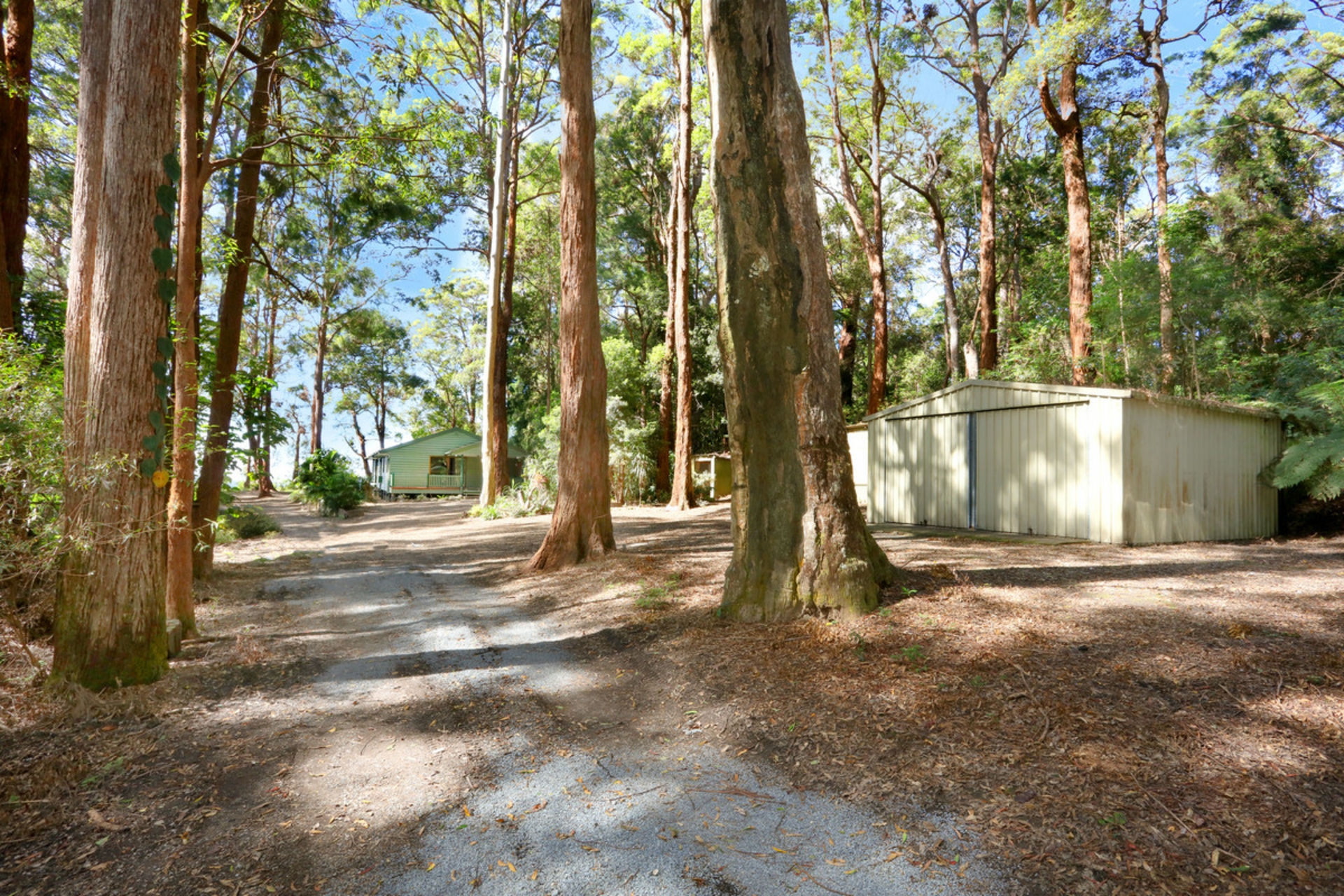 1961 Springbrook Road, SPRINGBROOK