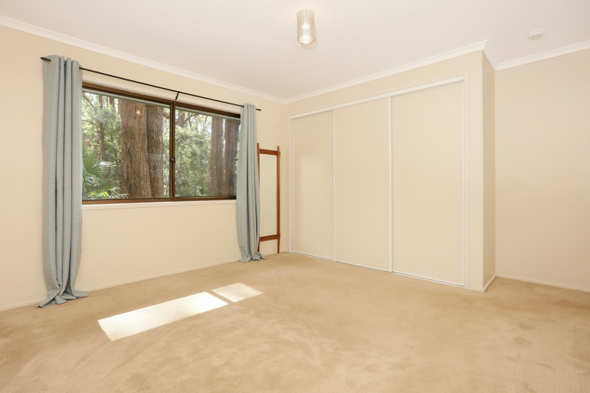 1961 Springbrook Road, SPRINGBROOK