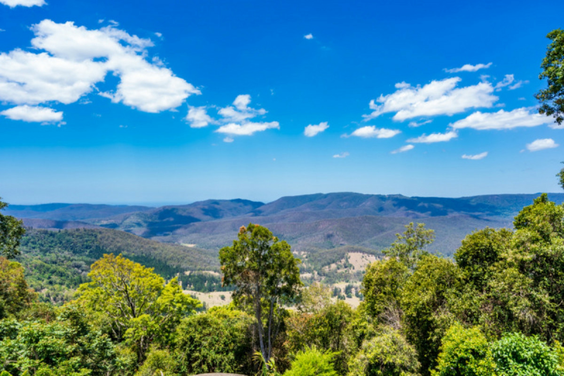 1-3 Willow Court, BEECHMONT