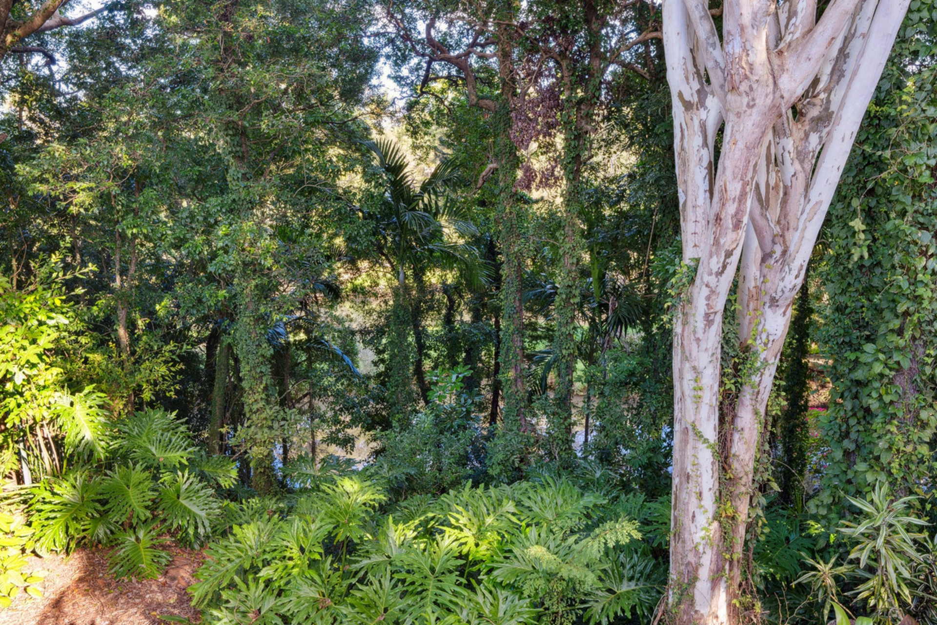 27 Bartlett Avenue, NERANG