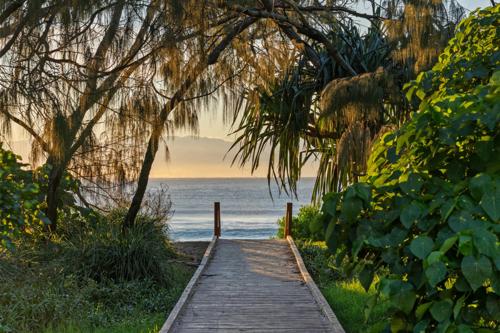24/19 Mermaid Avenue, MERMAID BEACH