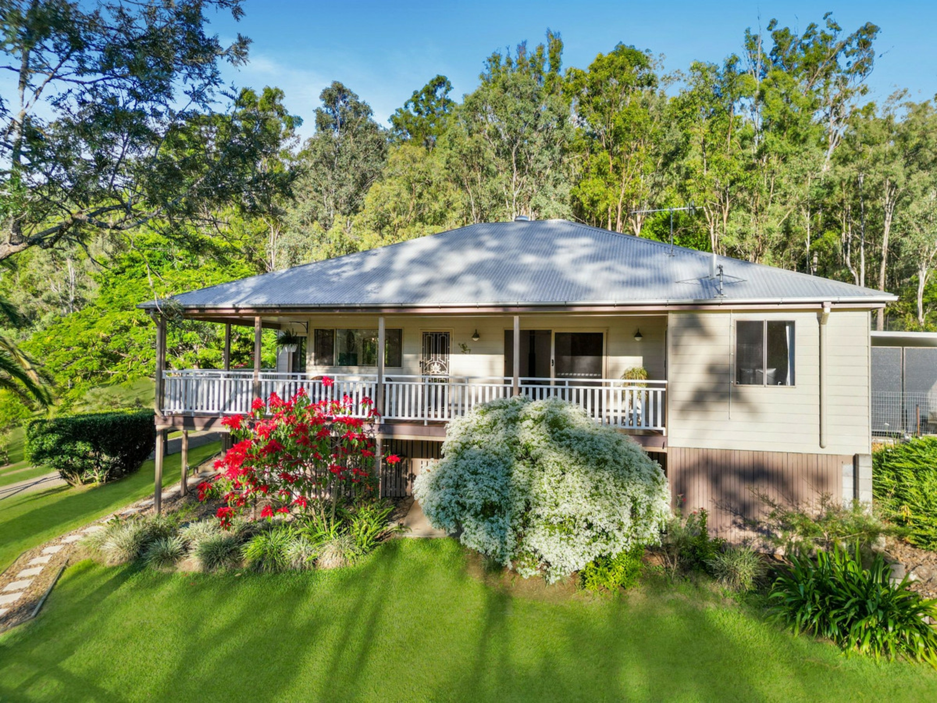 169 Lamington National Park Road — photo 7 of 30