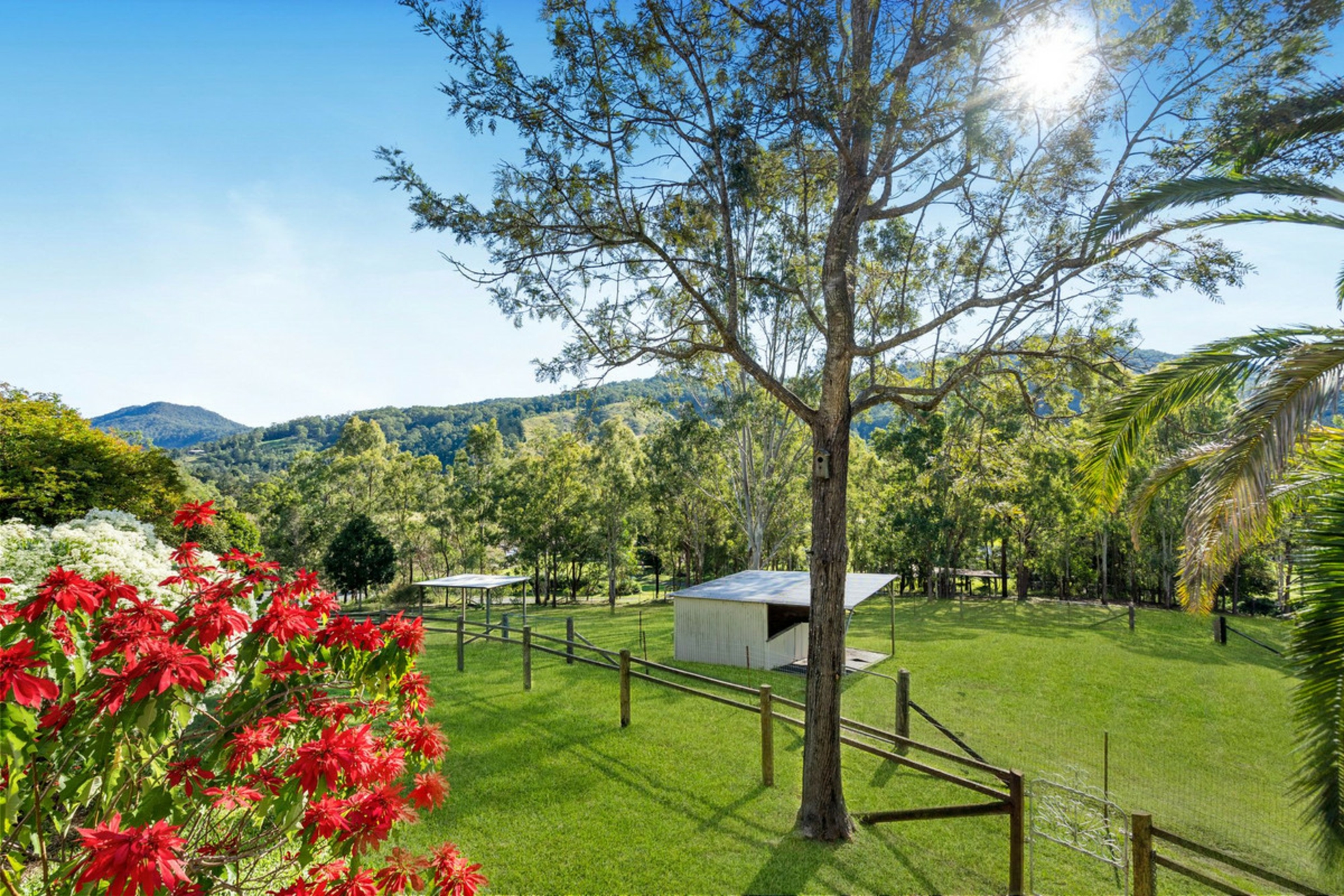 169 Lamington National Park Road — photo 17 of 30