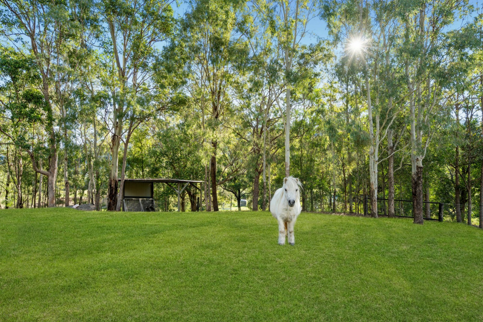 169 Lamington National Park Road — photo 26 of 30