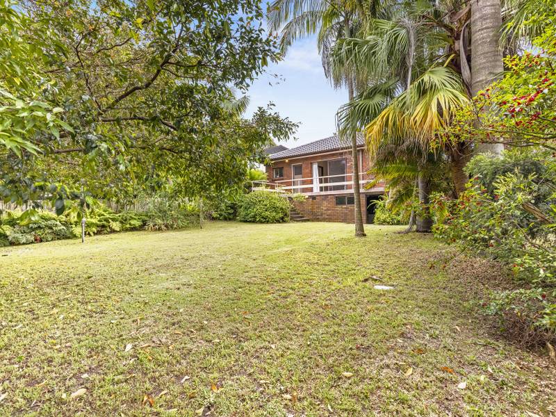 49 Mcintosh Road, Dee Why