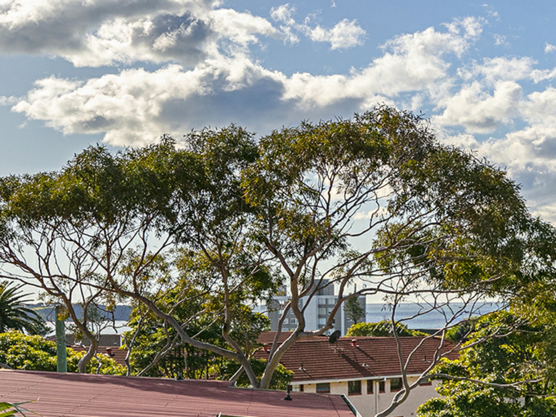 9/40-42 Cassia Street, DEE WHY