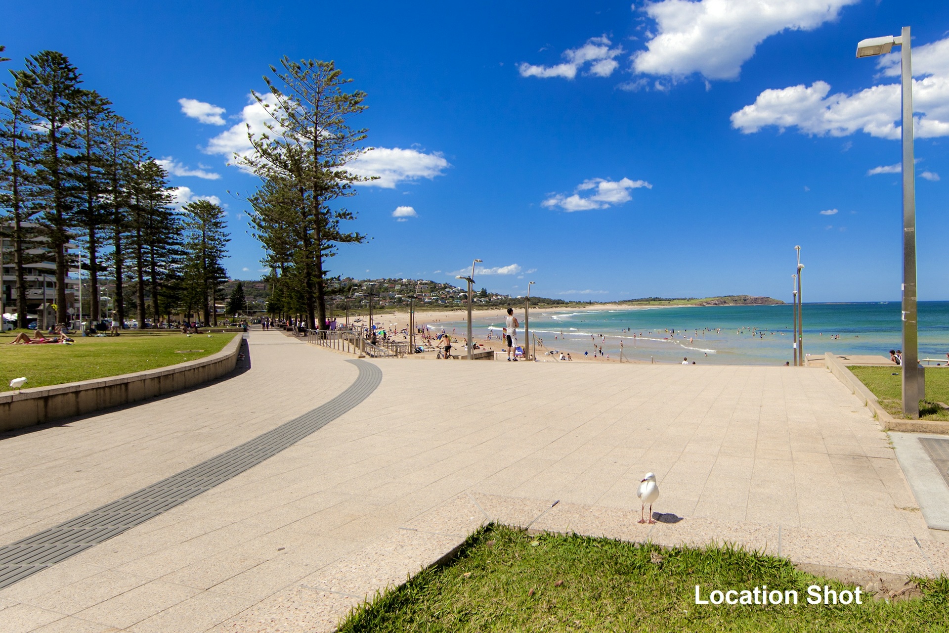 50/1-3 Delmar Parade, DEE WHY
