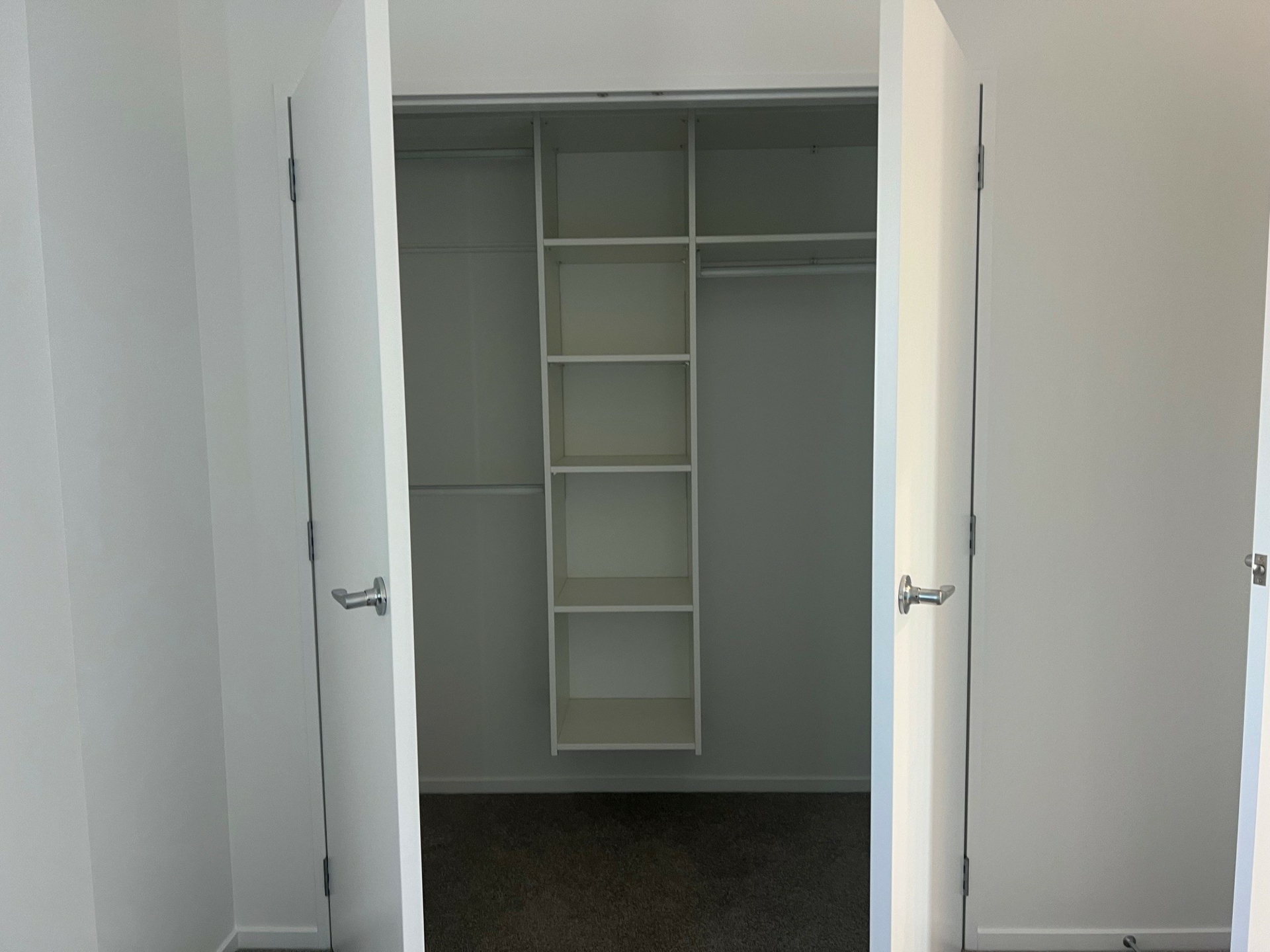 Flat Bush, 2019