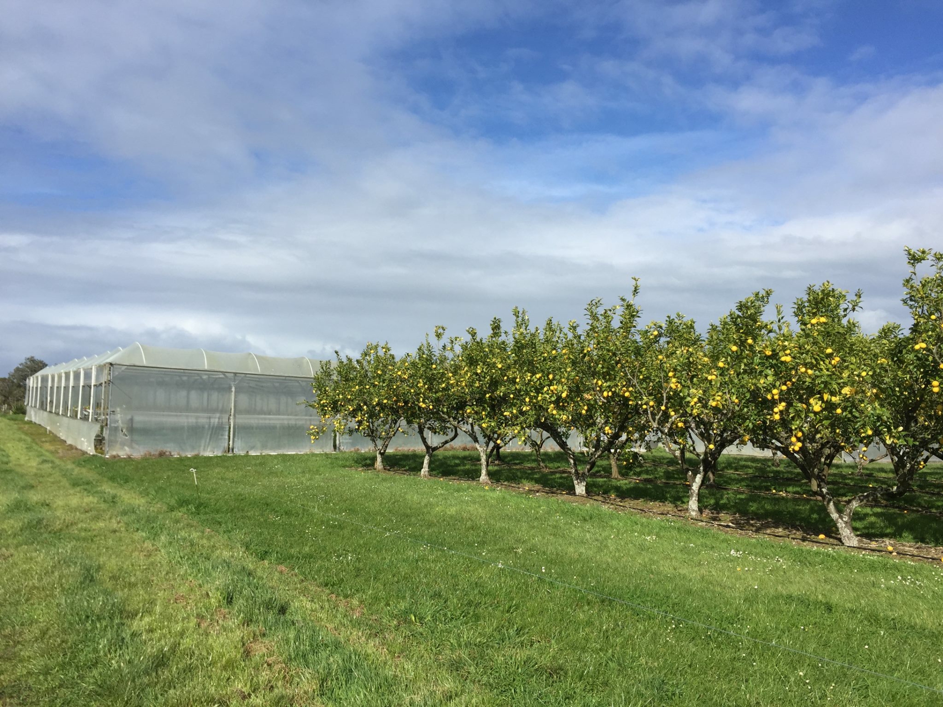 344 Drury Hills Road Drury Property Details LJ Hooker