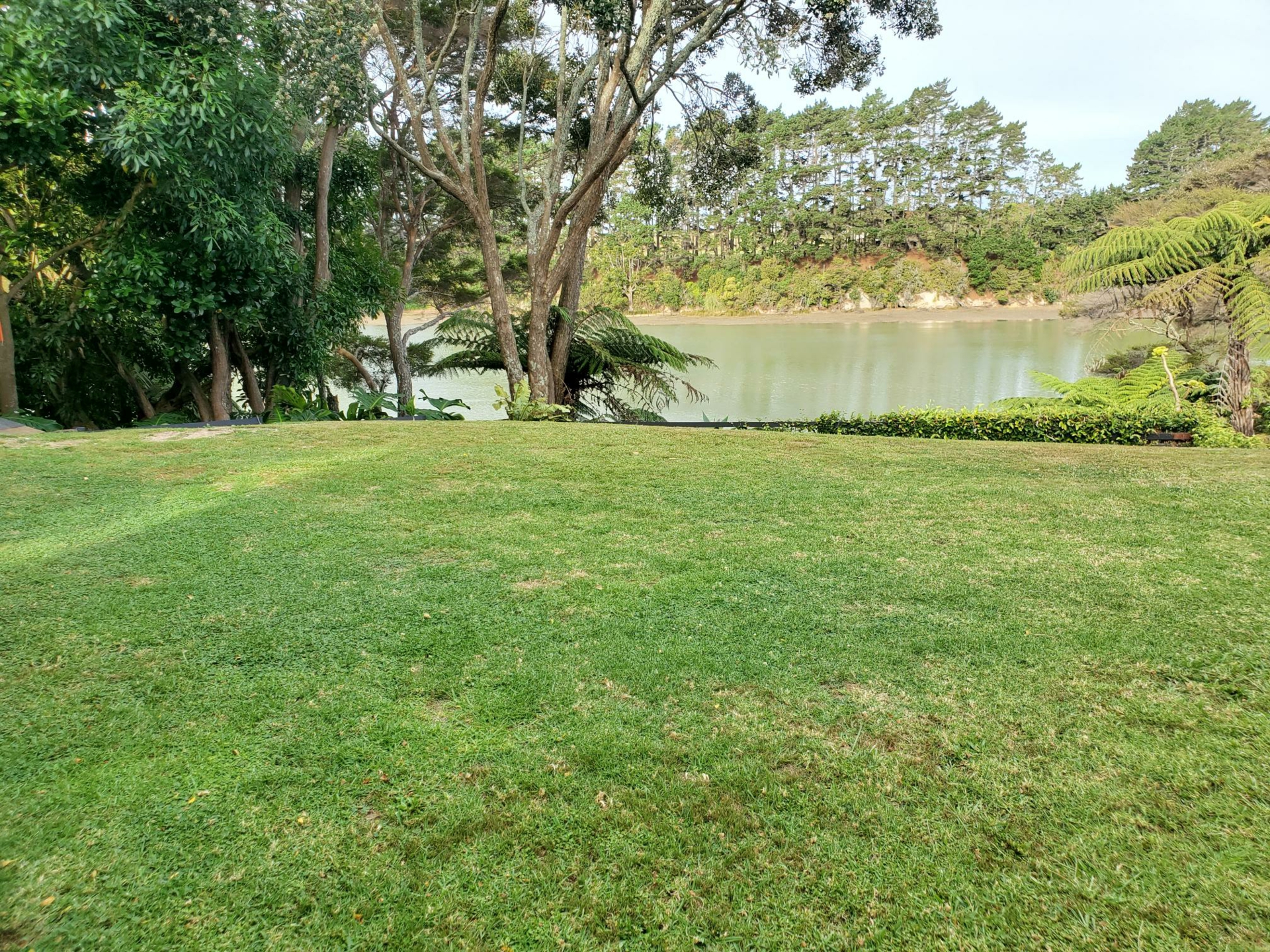 Waiuku, 2123