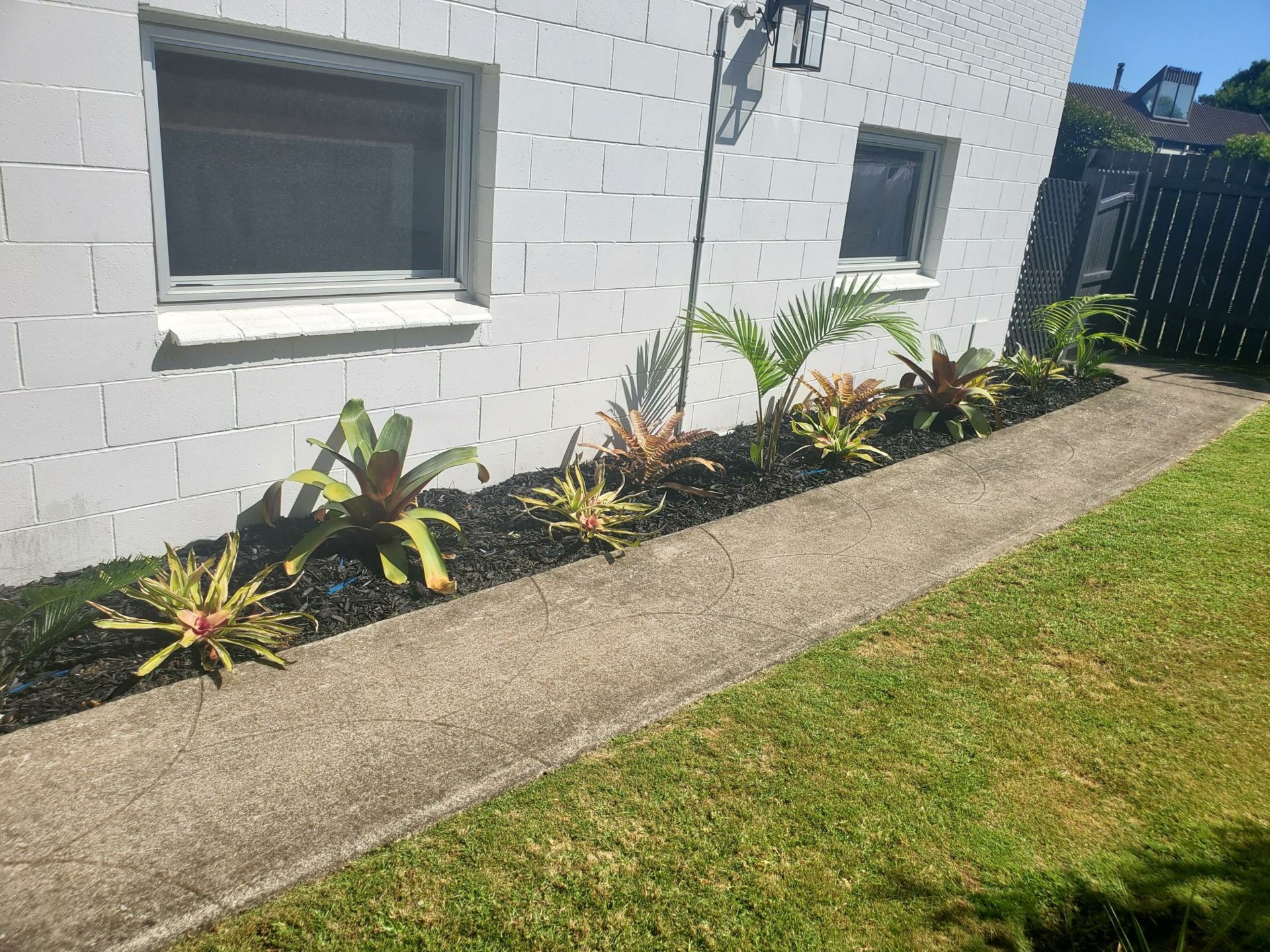 Waiuku, 2123