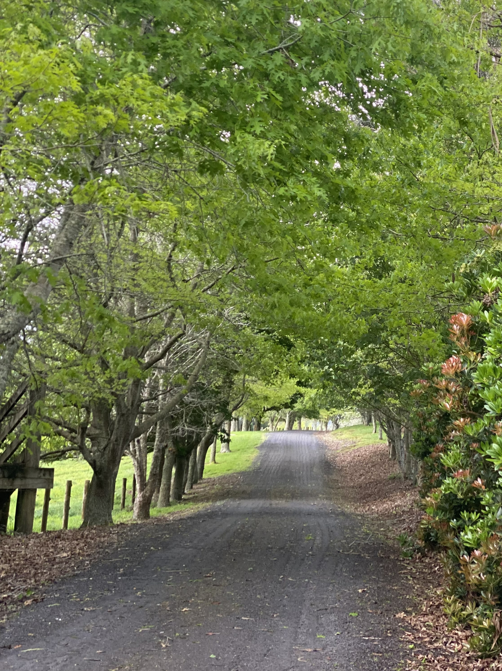 48A Sinclair Road, ARARIMU
