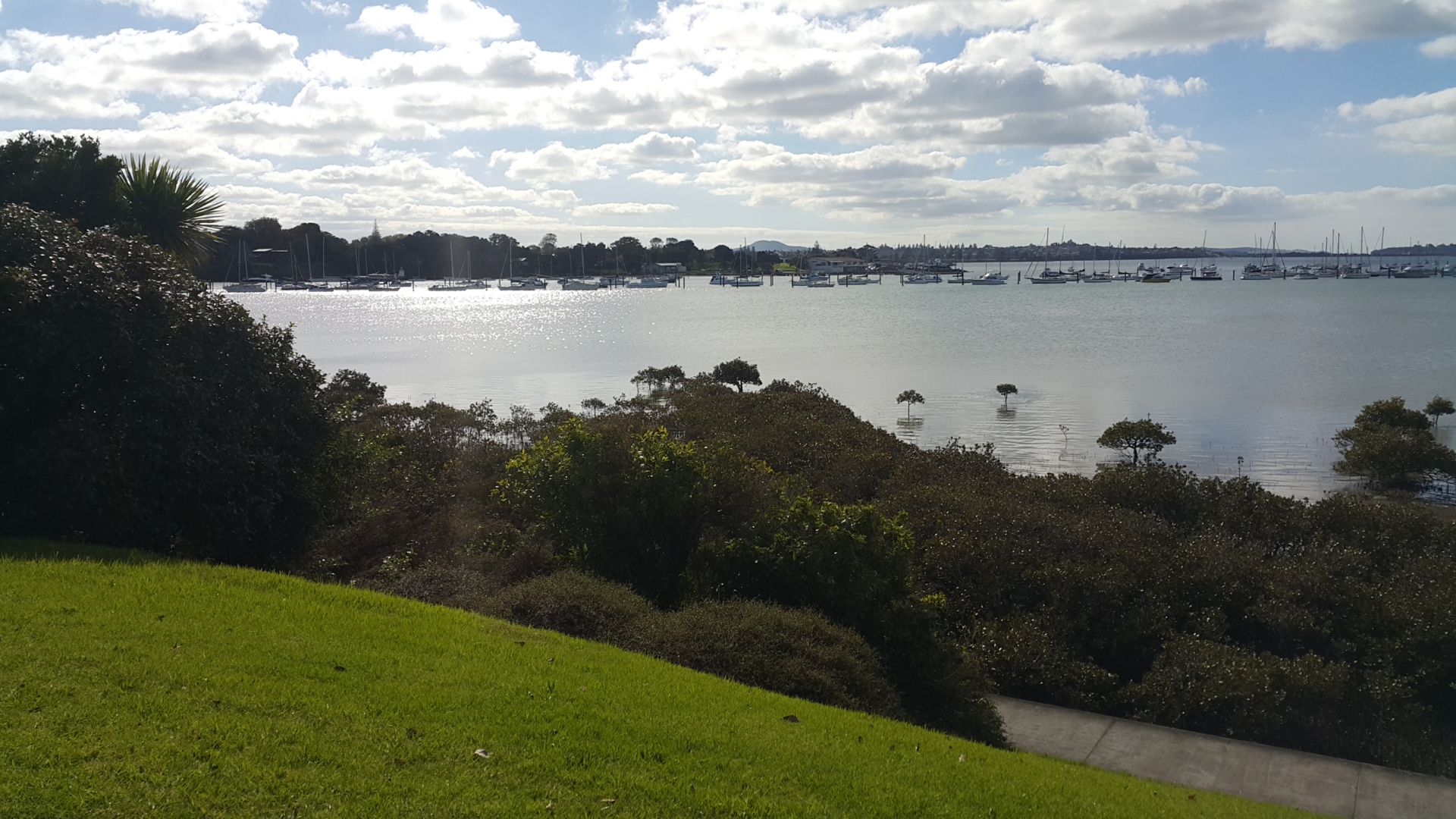Pakuranga, 2010