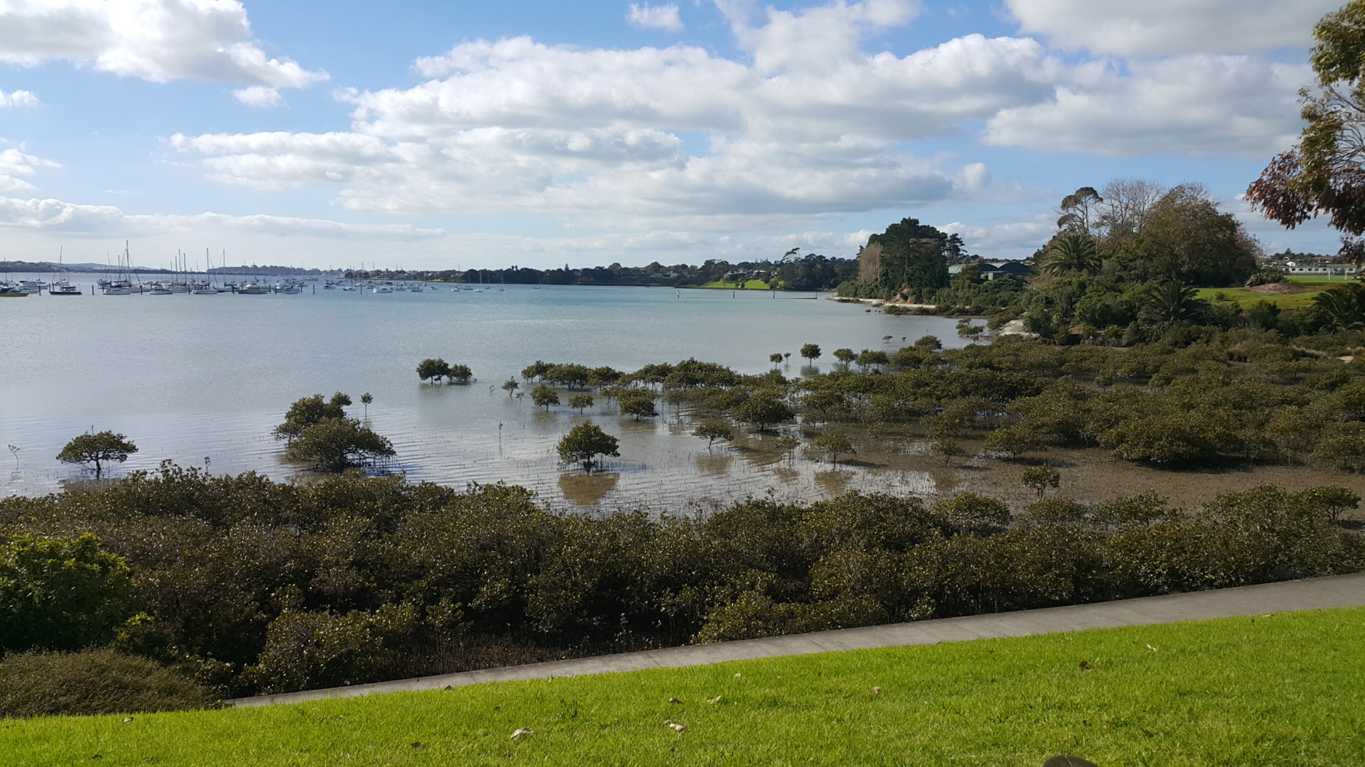 Pakuranga, 2010