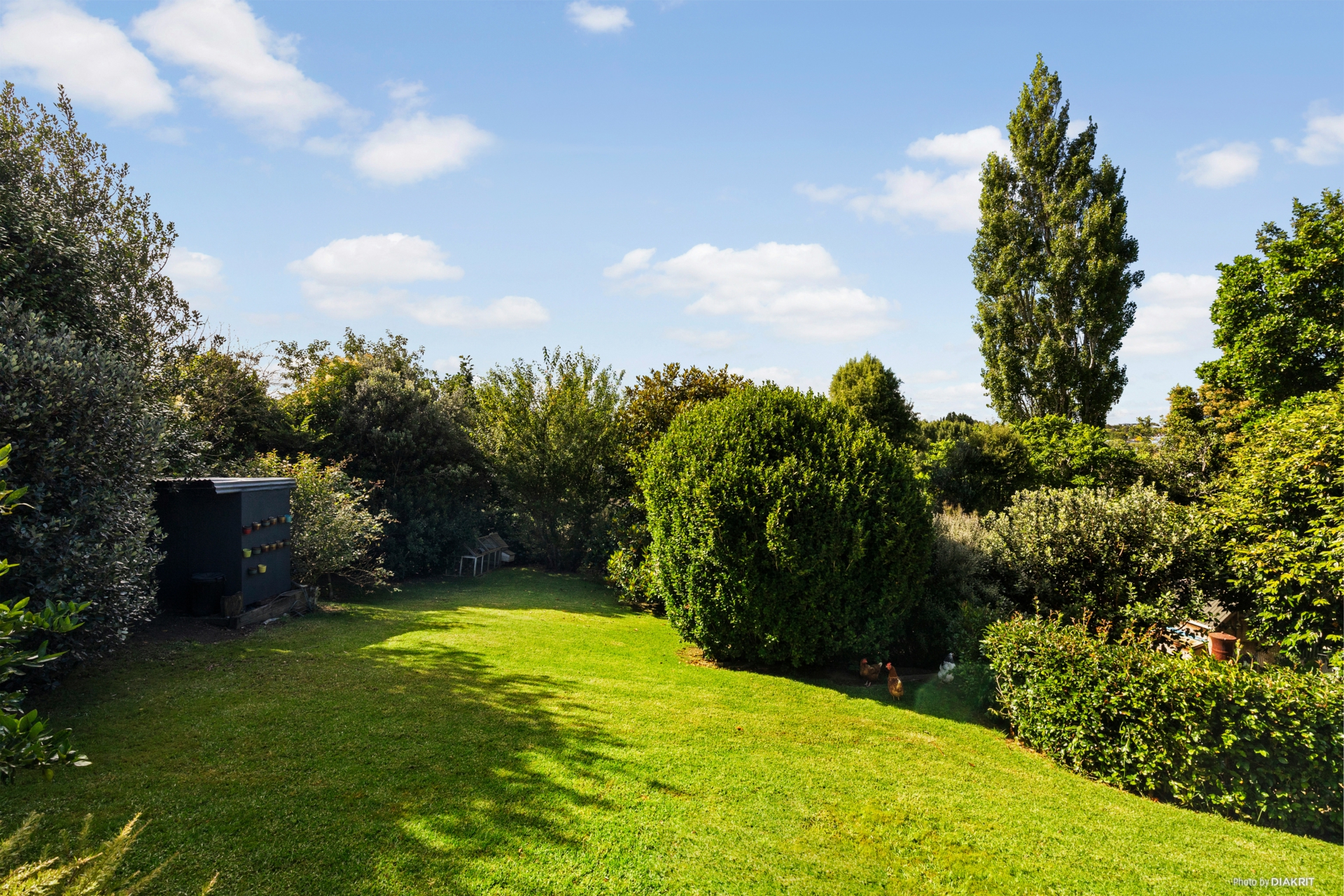 Waiuku, 2123
