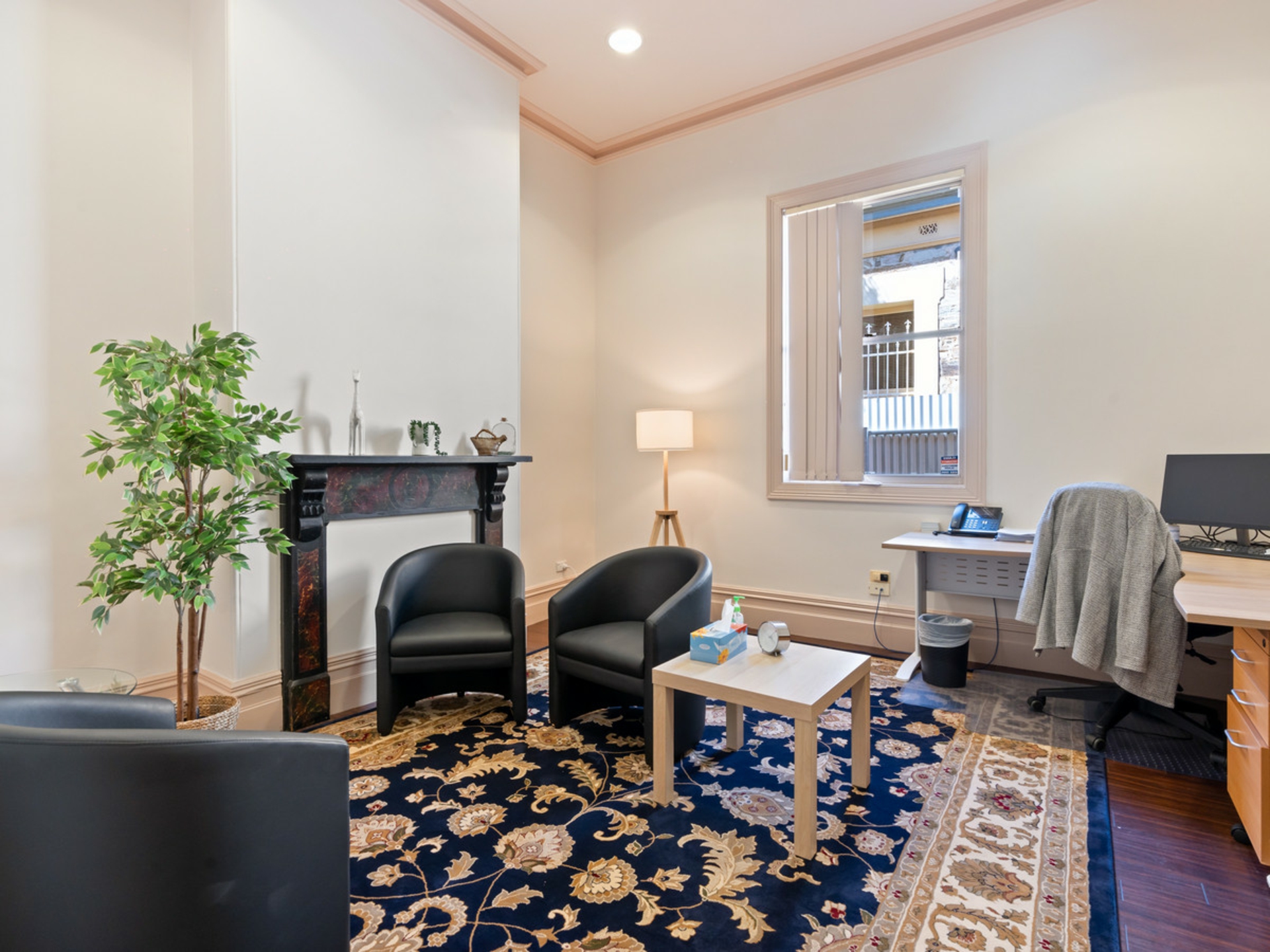 58 North Terrace, KENT TOWN