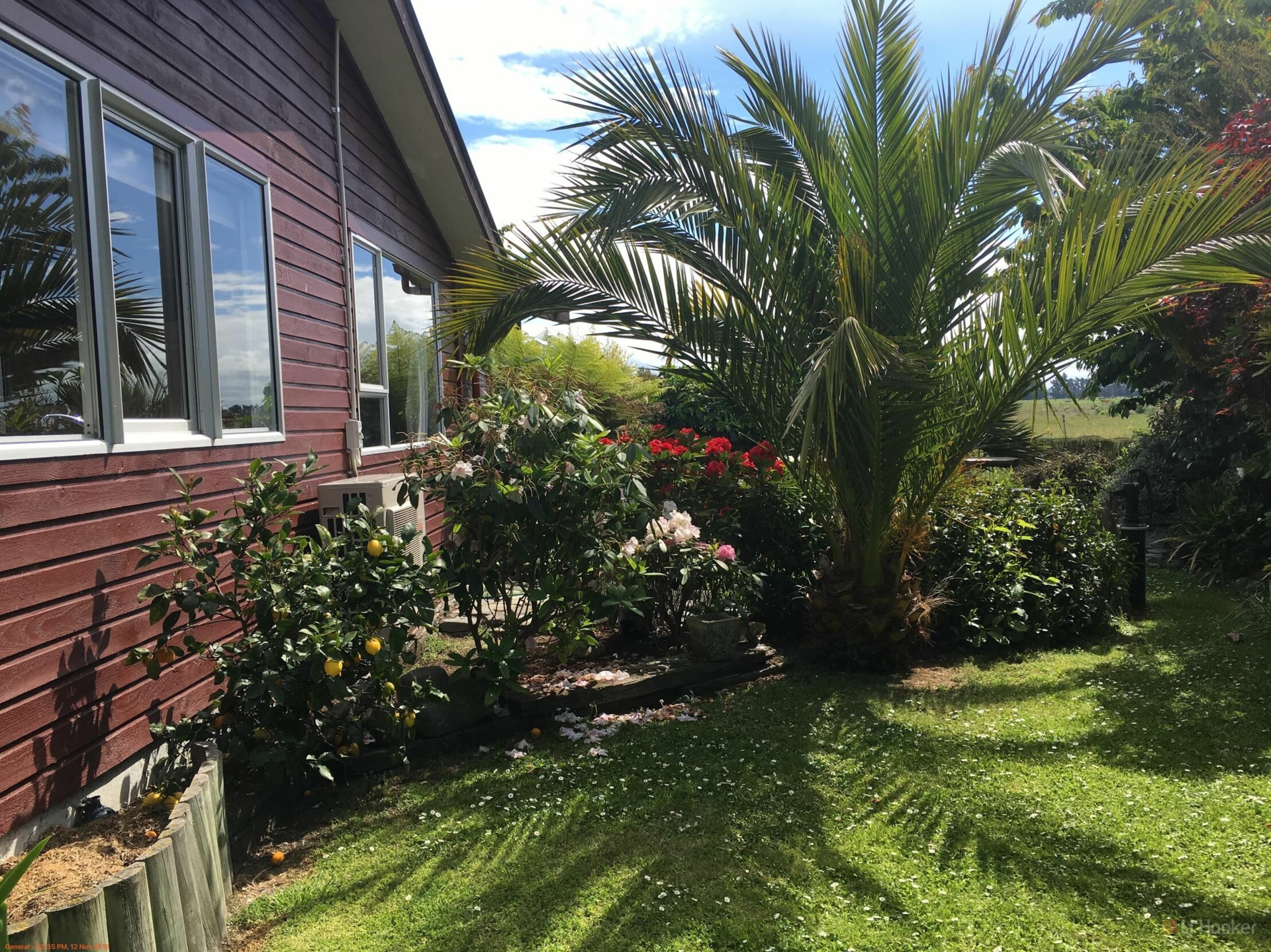 31 Ruane Street, GLENAVY
