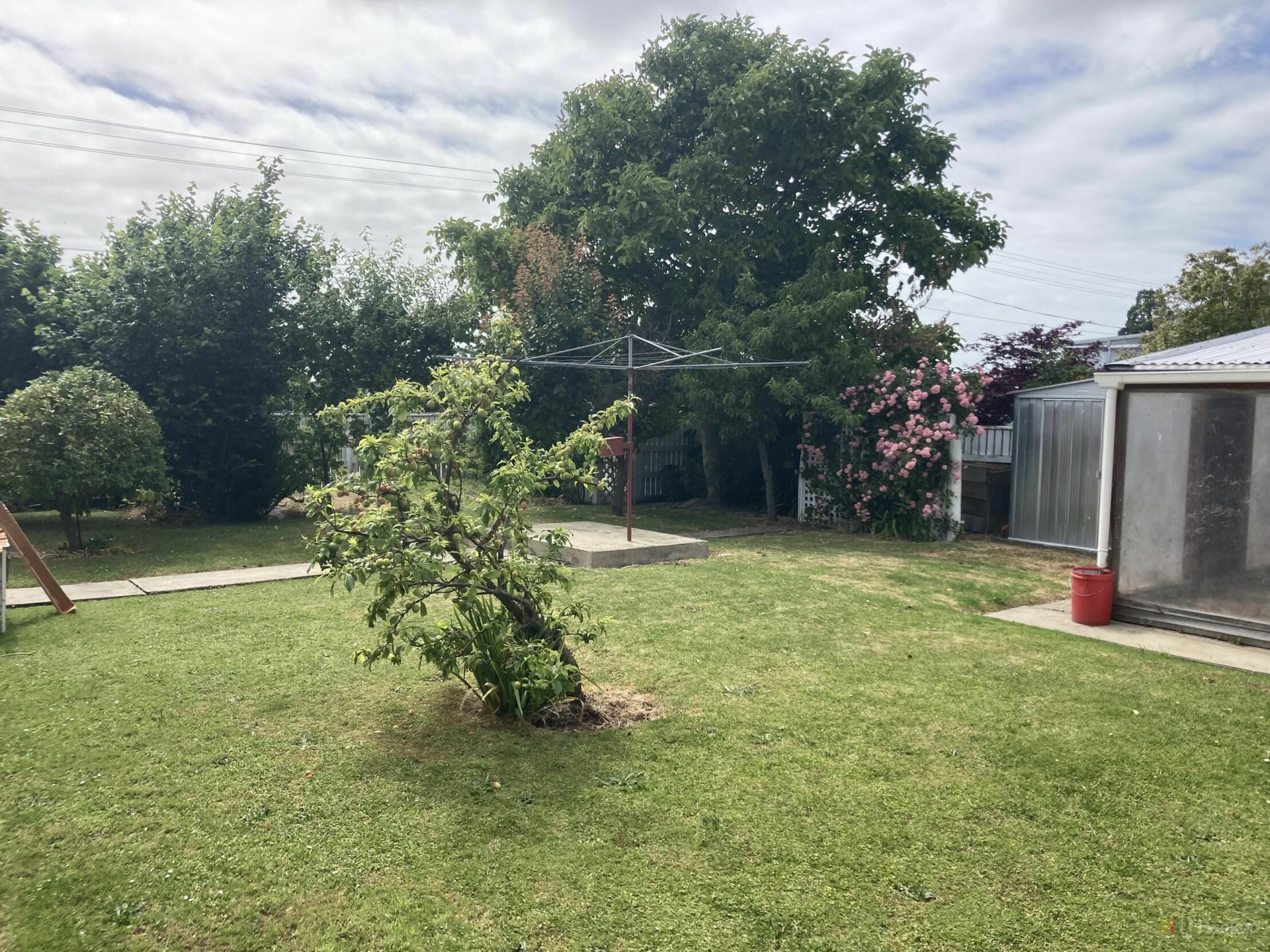 8 Carlisle Street, WAIMATE