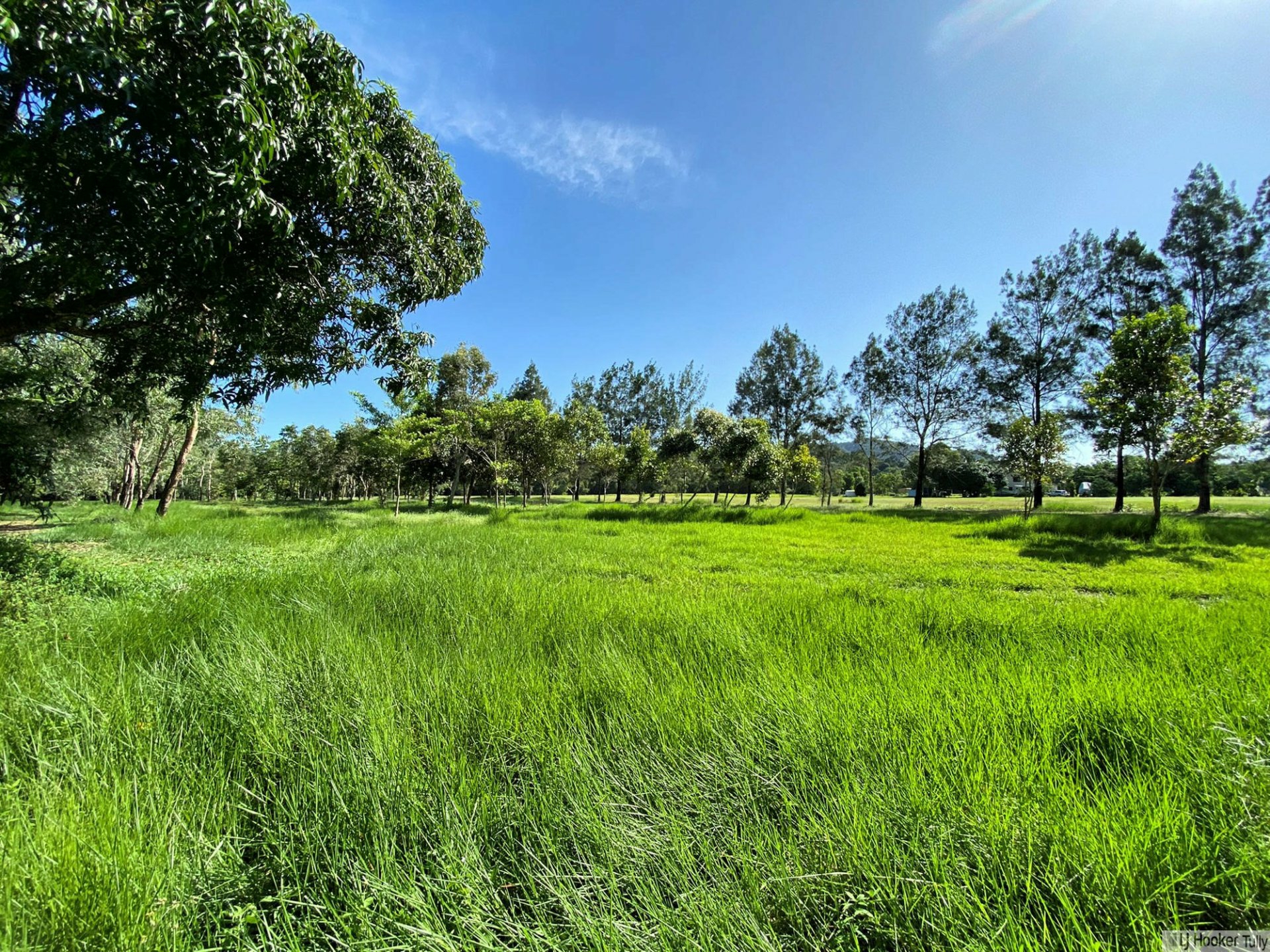 116 Fig Tree Beach Road, MIDGEREE BAR