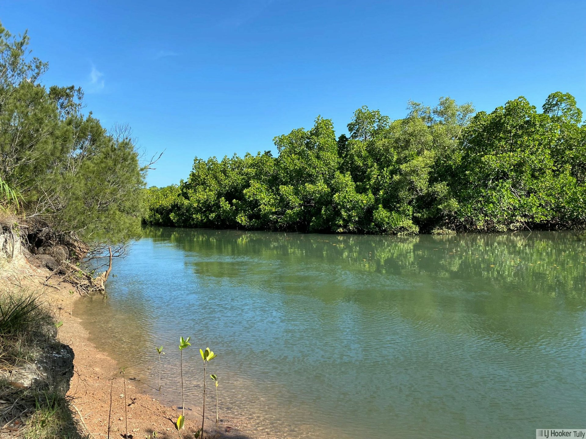 116 Fig Tree Beach Road, MIDGEREE BAR