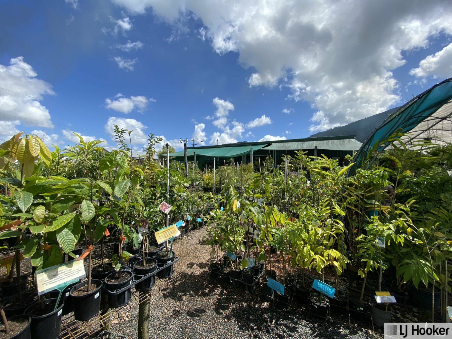 2 & 4 Richardson Street, TULLY