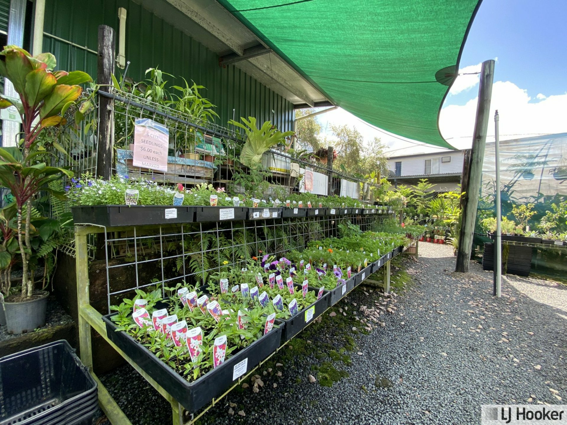 2 & 4 Richardson Street, TULLY