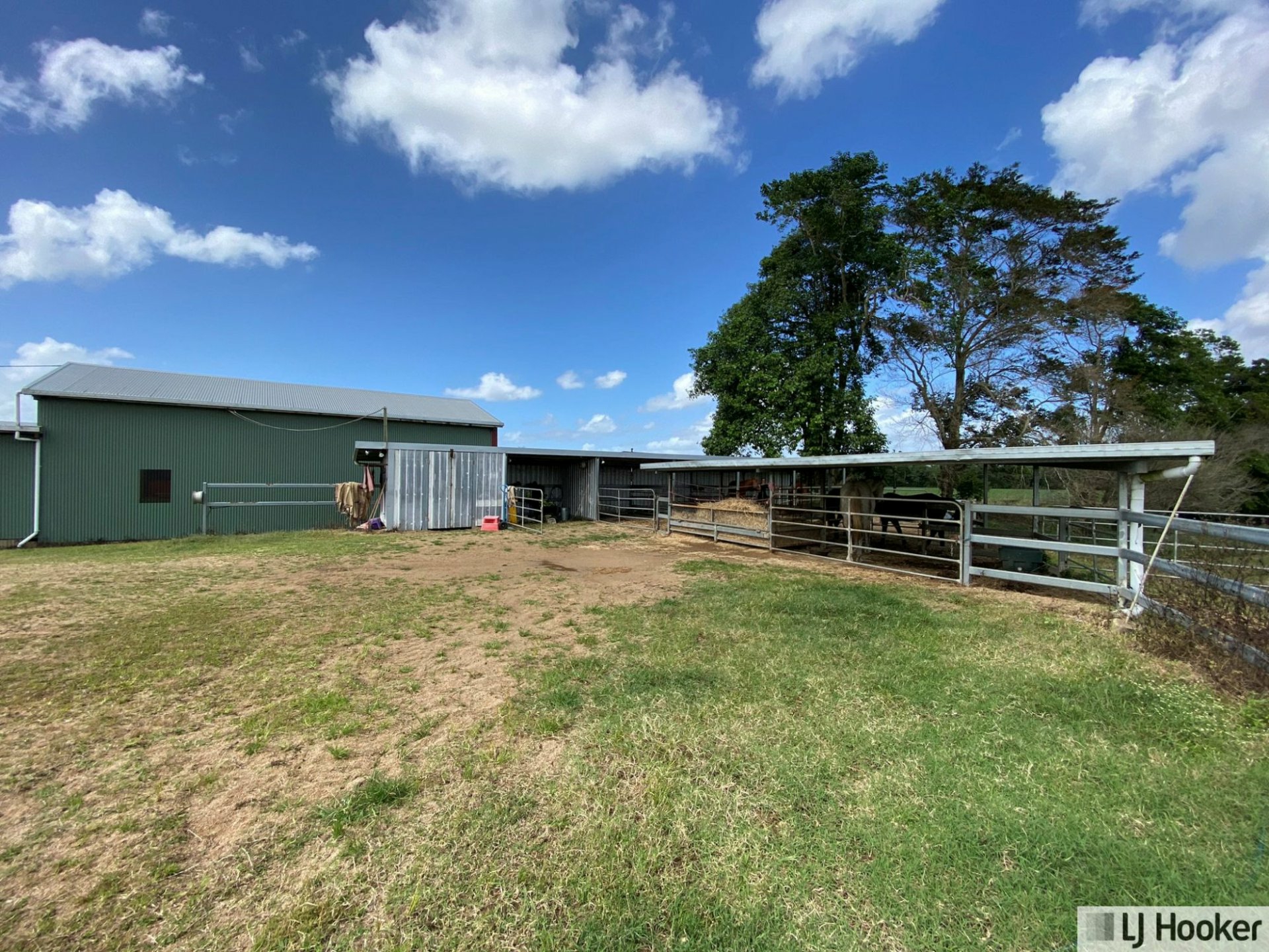 61 Davidson Road, EURAMO