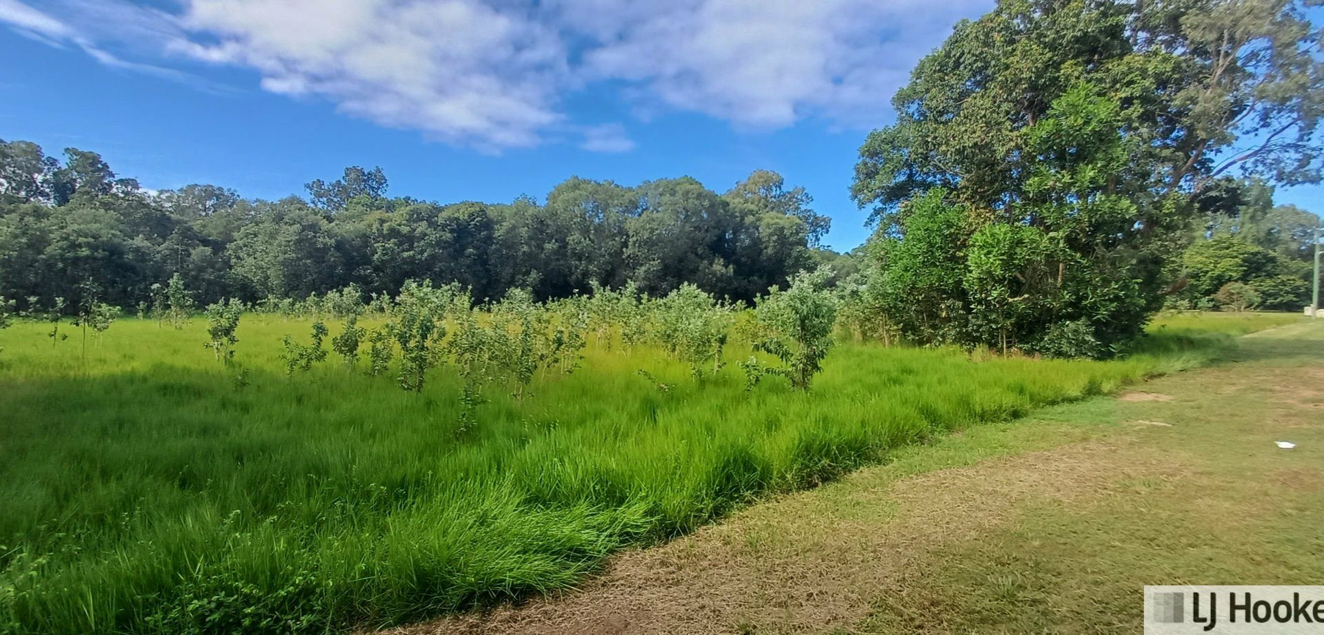 Lot 7 Tully Heads Road Hull Heads QLD Residential for Sale LJ Hooker