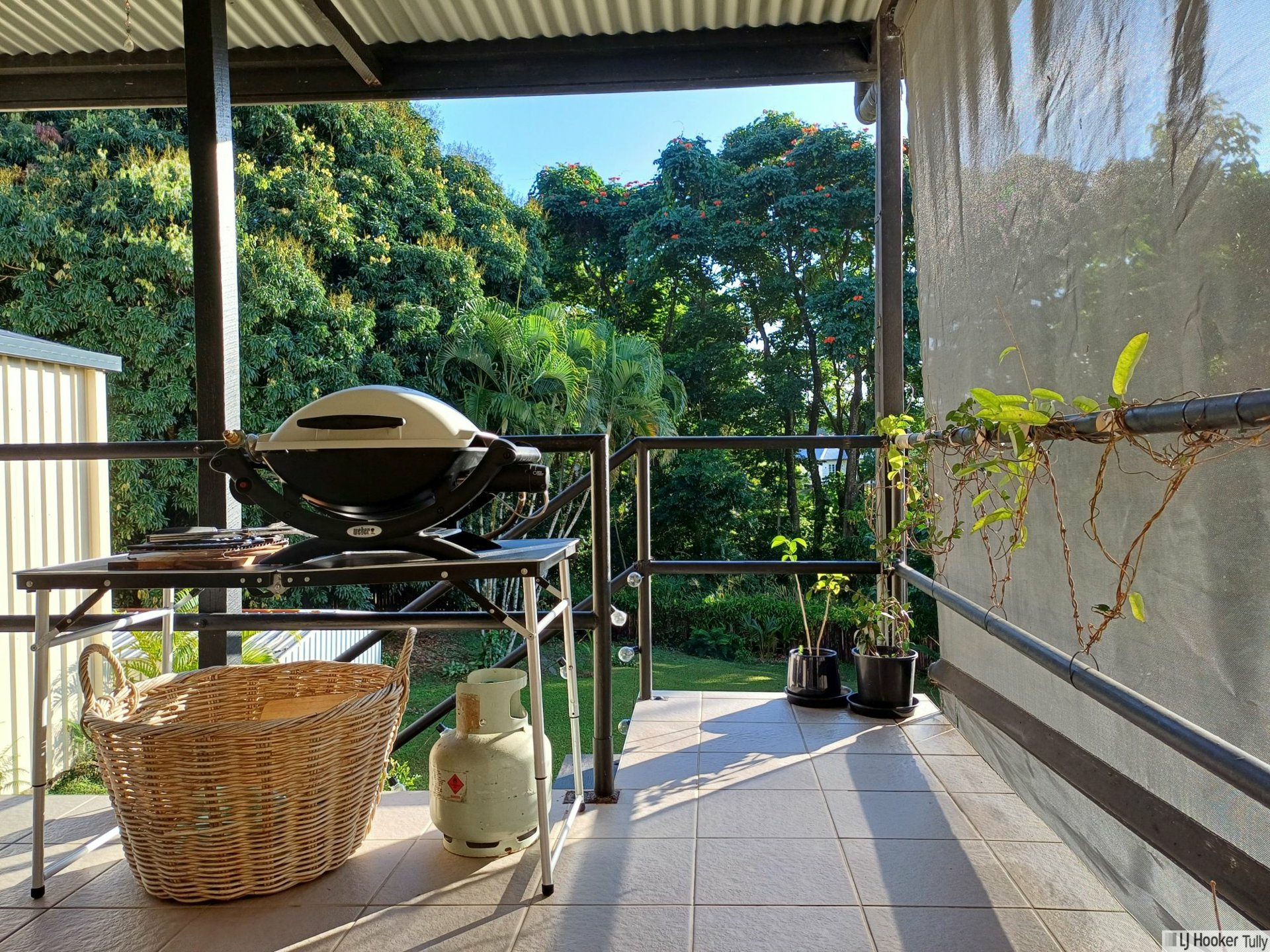 12 Briggs Street, TULLY