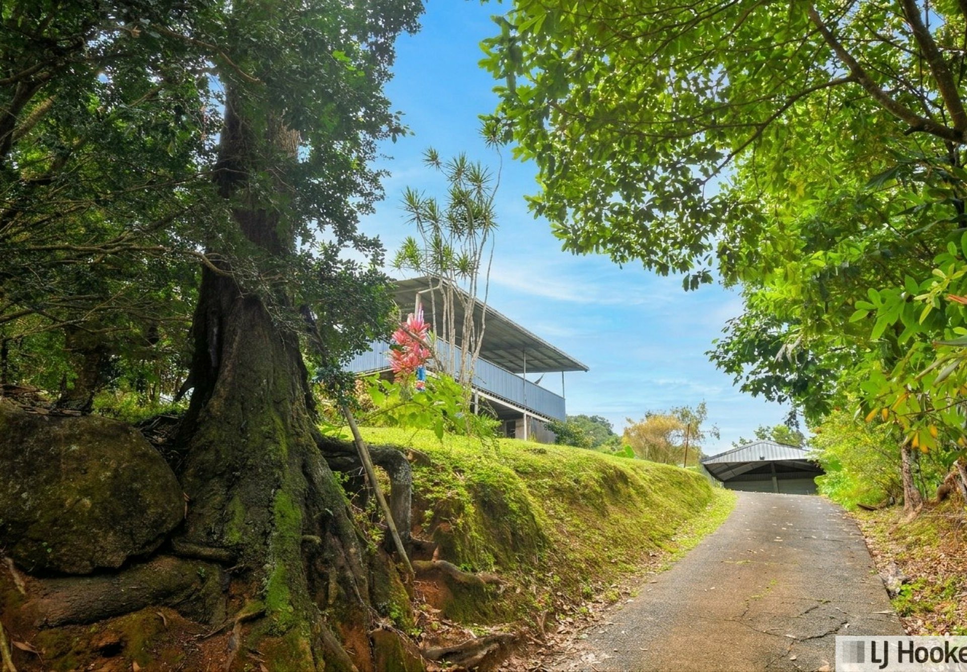 46 Maple Terrace — photo 27 of 29