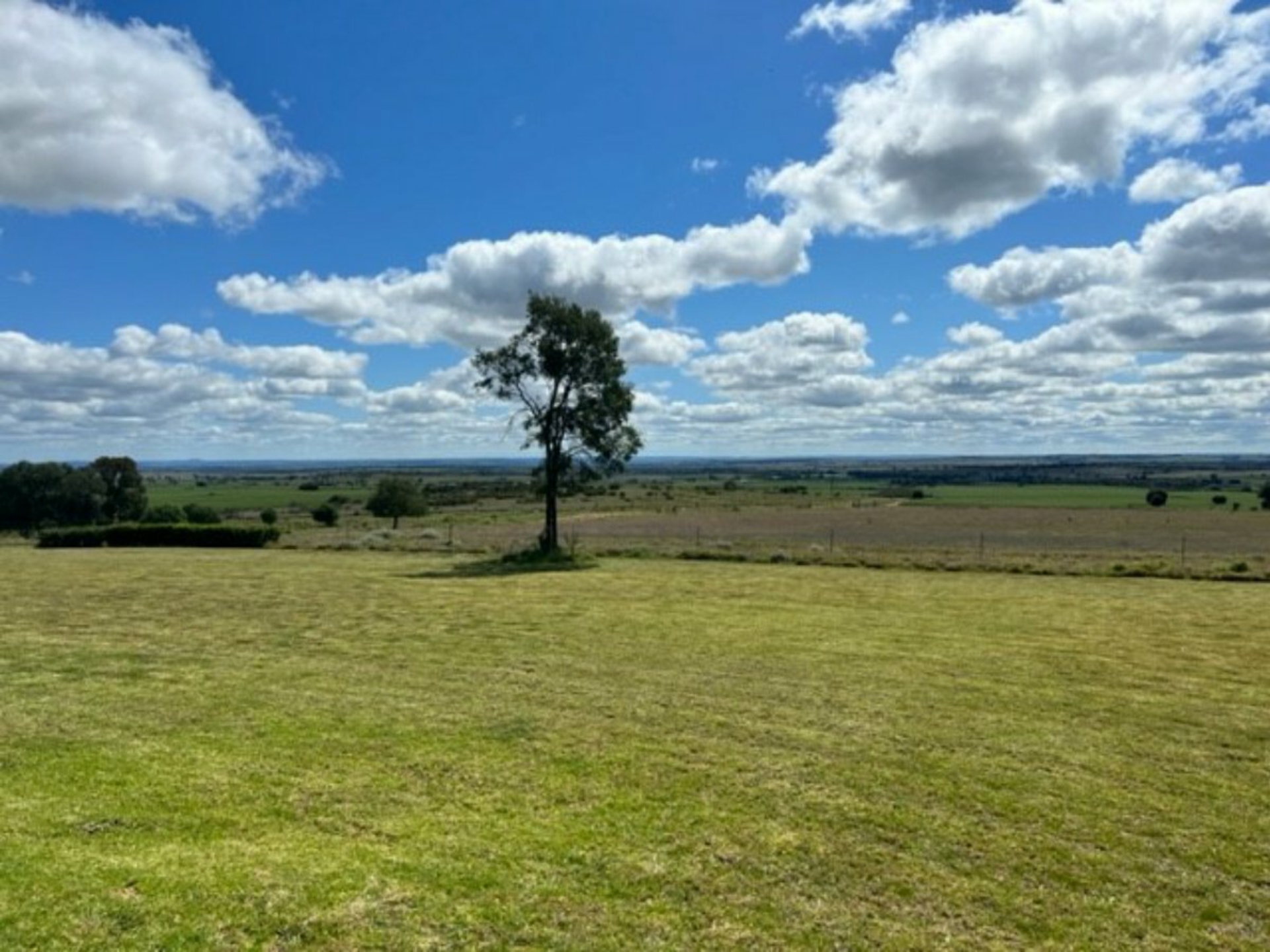 2941 Roma - Taroom Road, ROMA