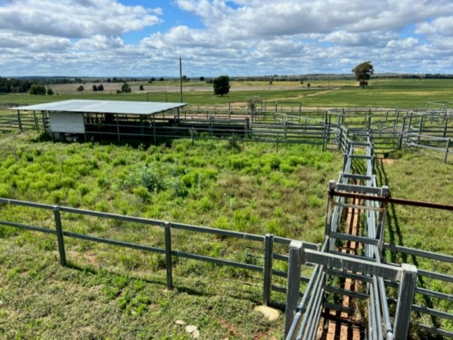 2941 Roma - Taroom Road, ROMA
