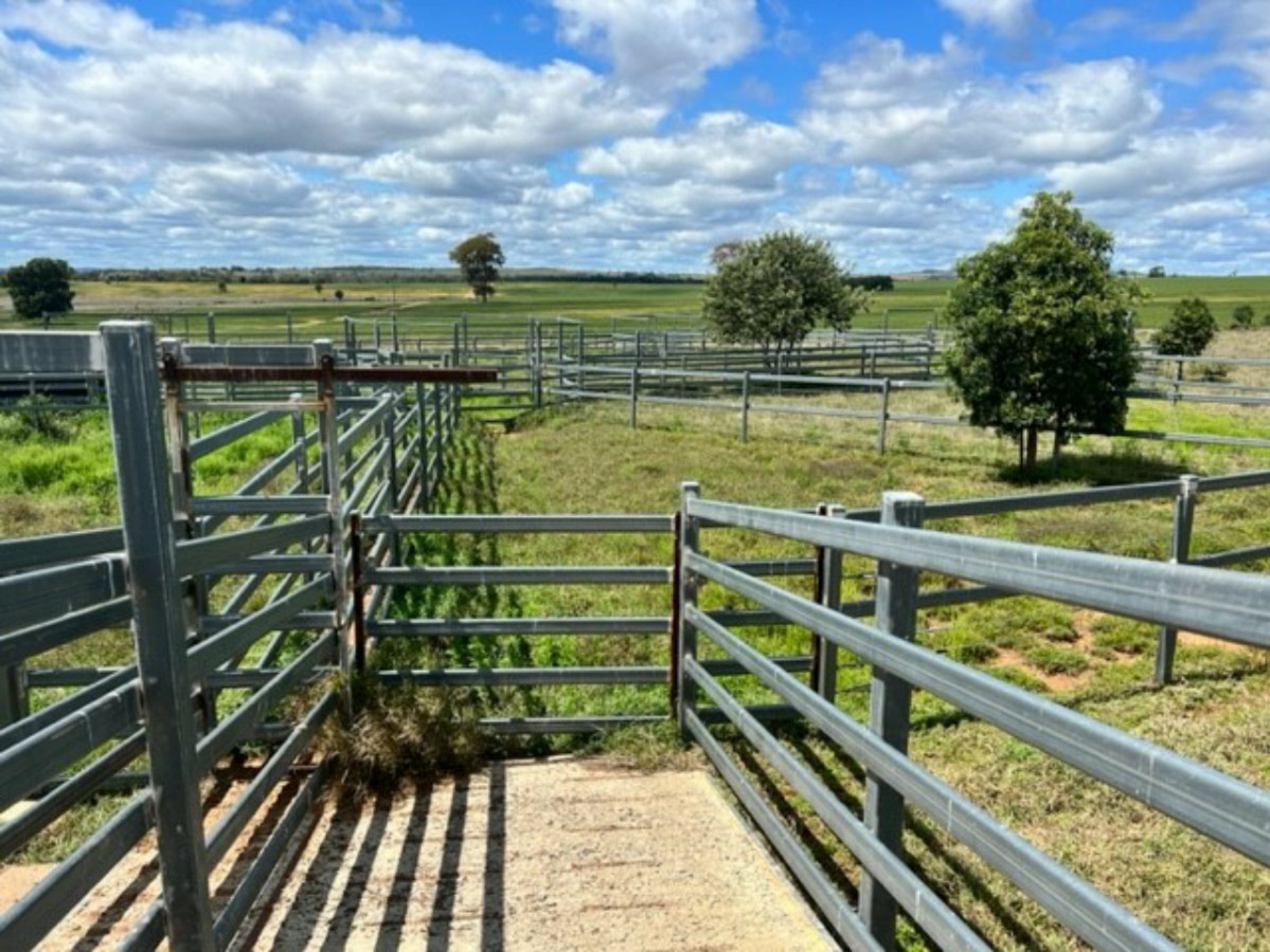 2941 Roma - Taroom Road, ROMA