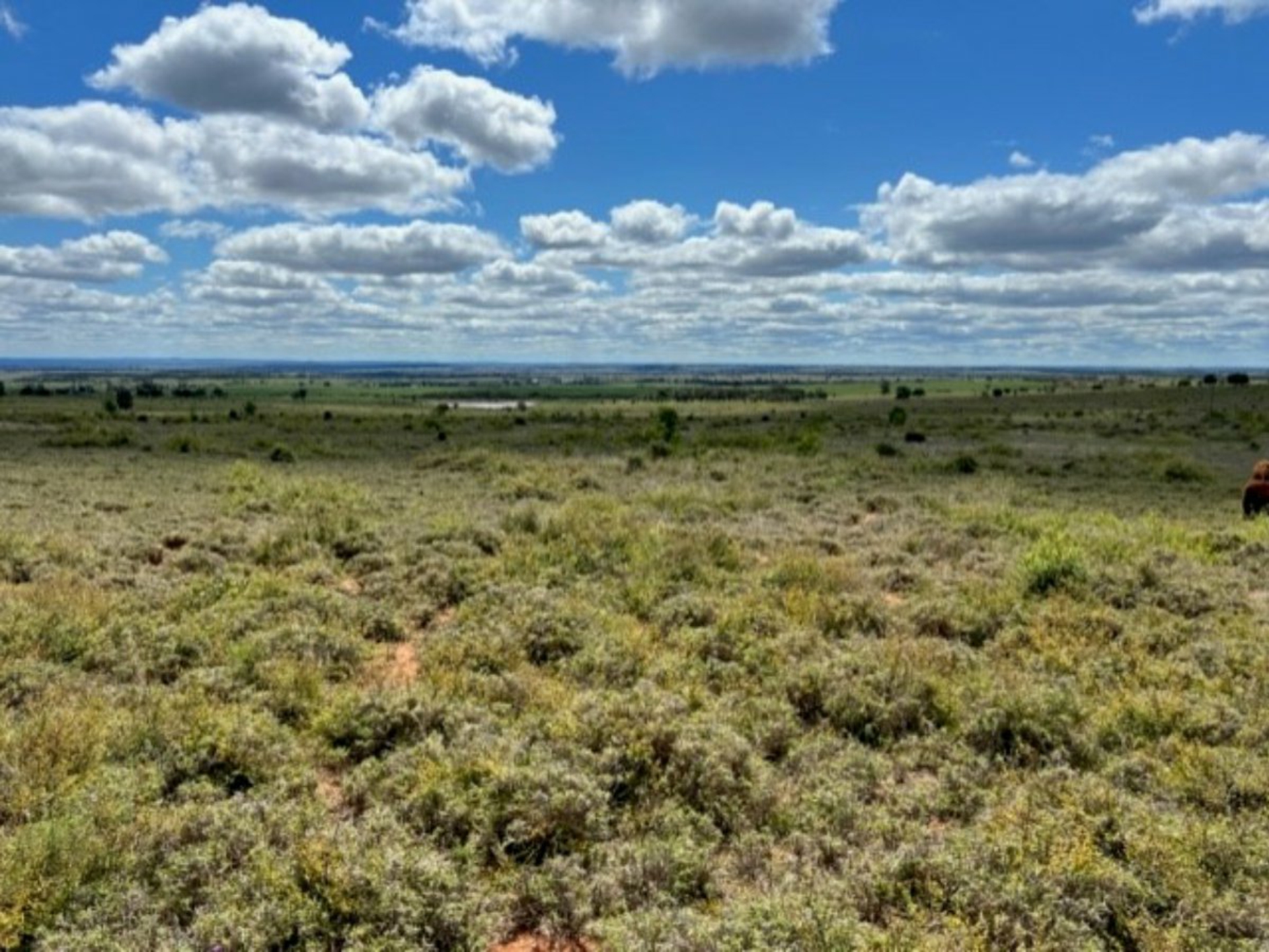 2941 Roma - Taroom Road, ROMA