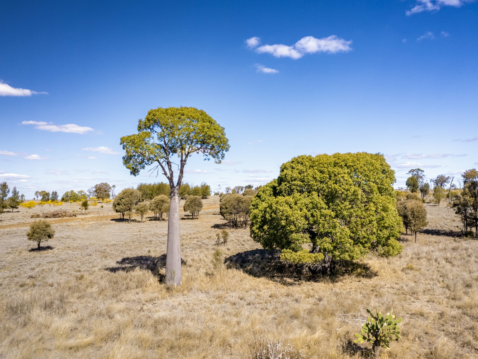6614 Carnarvon Highway, ROMA