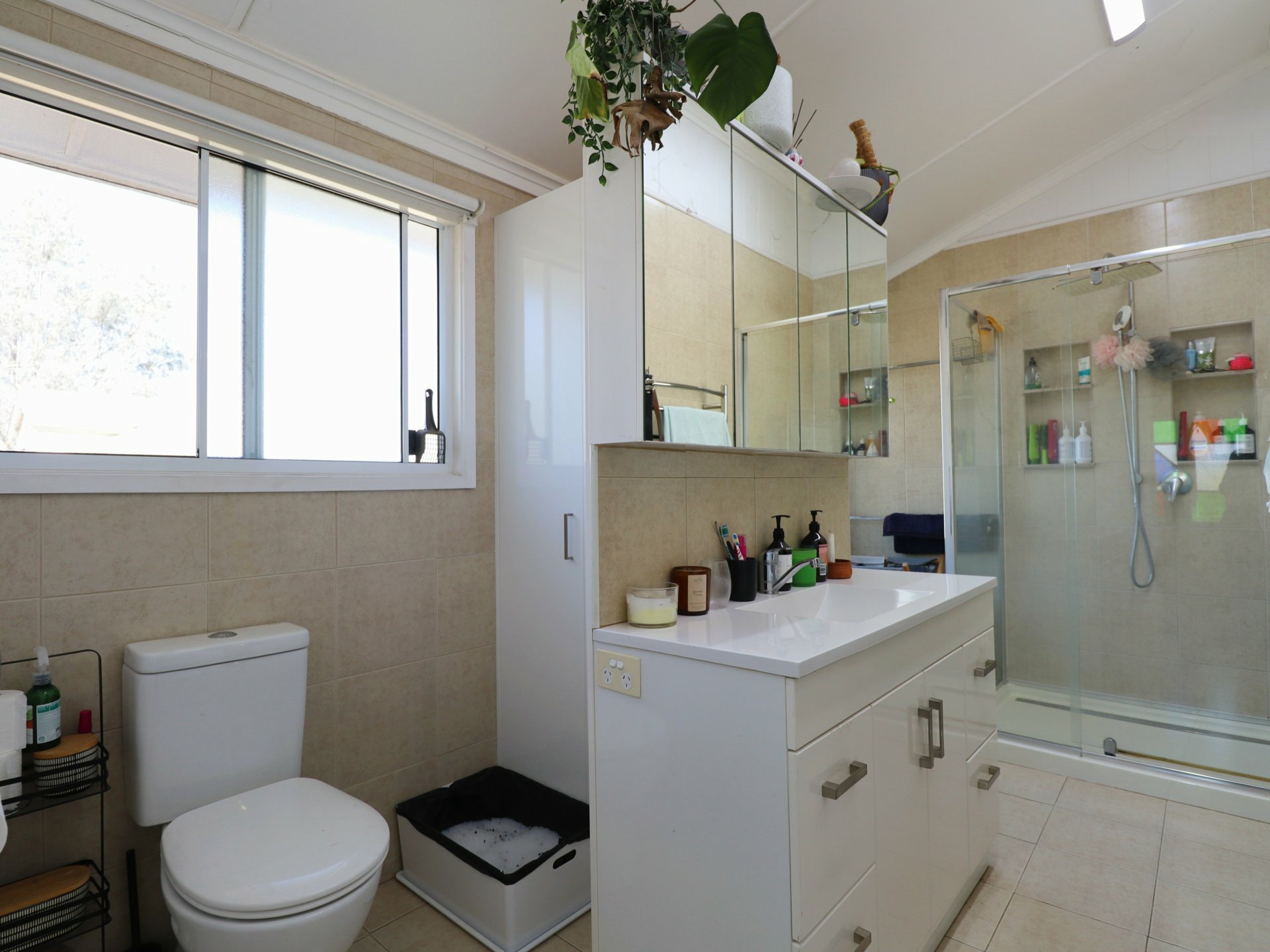 12 Mayne Street — photo 19 of 30